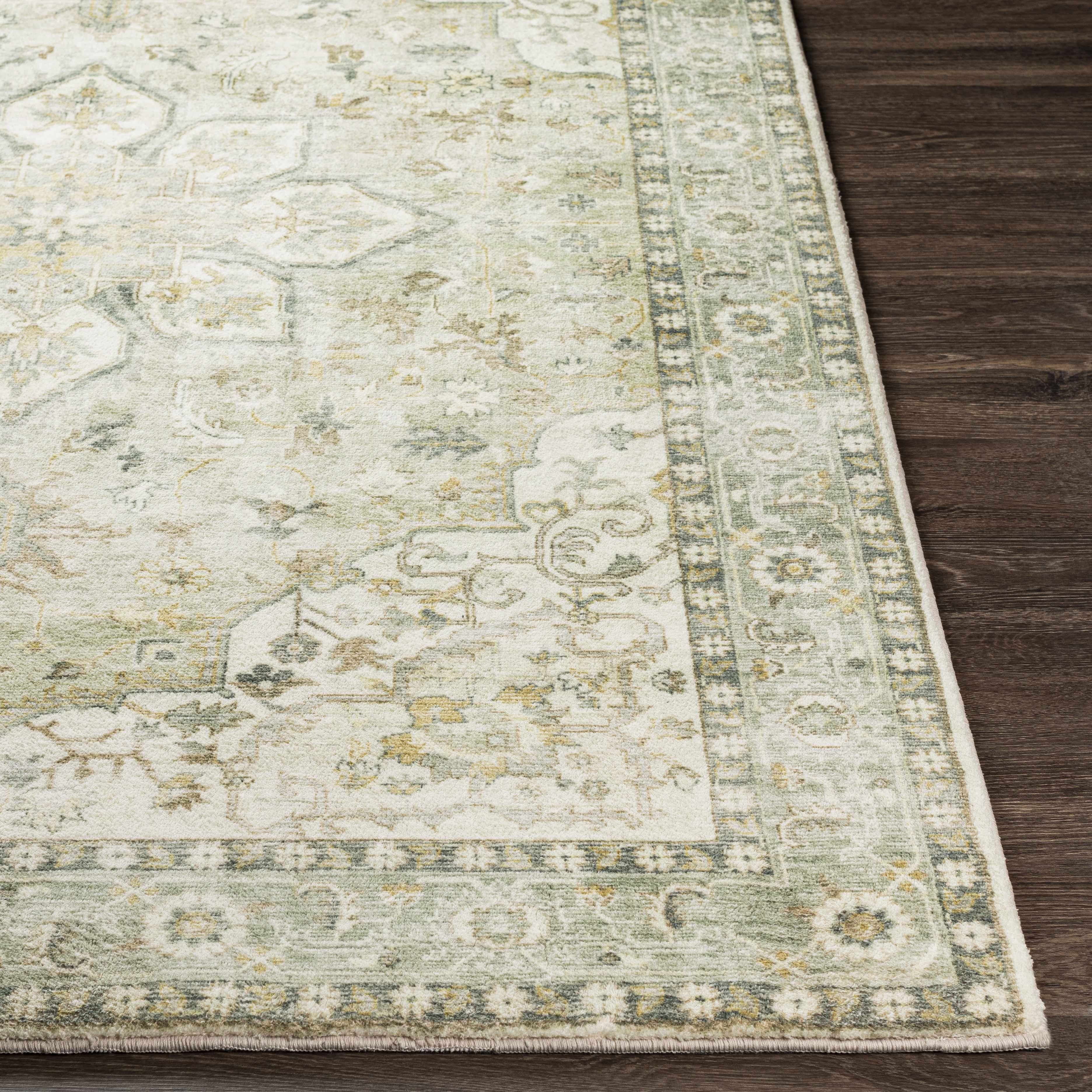 Crondall Sage Traditional Area Rug-4