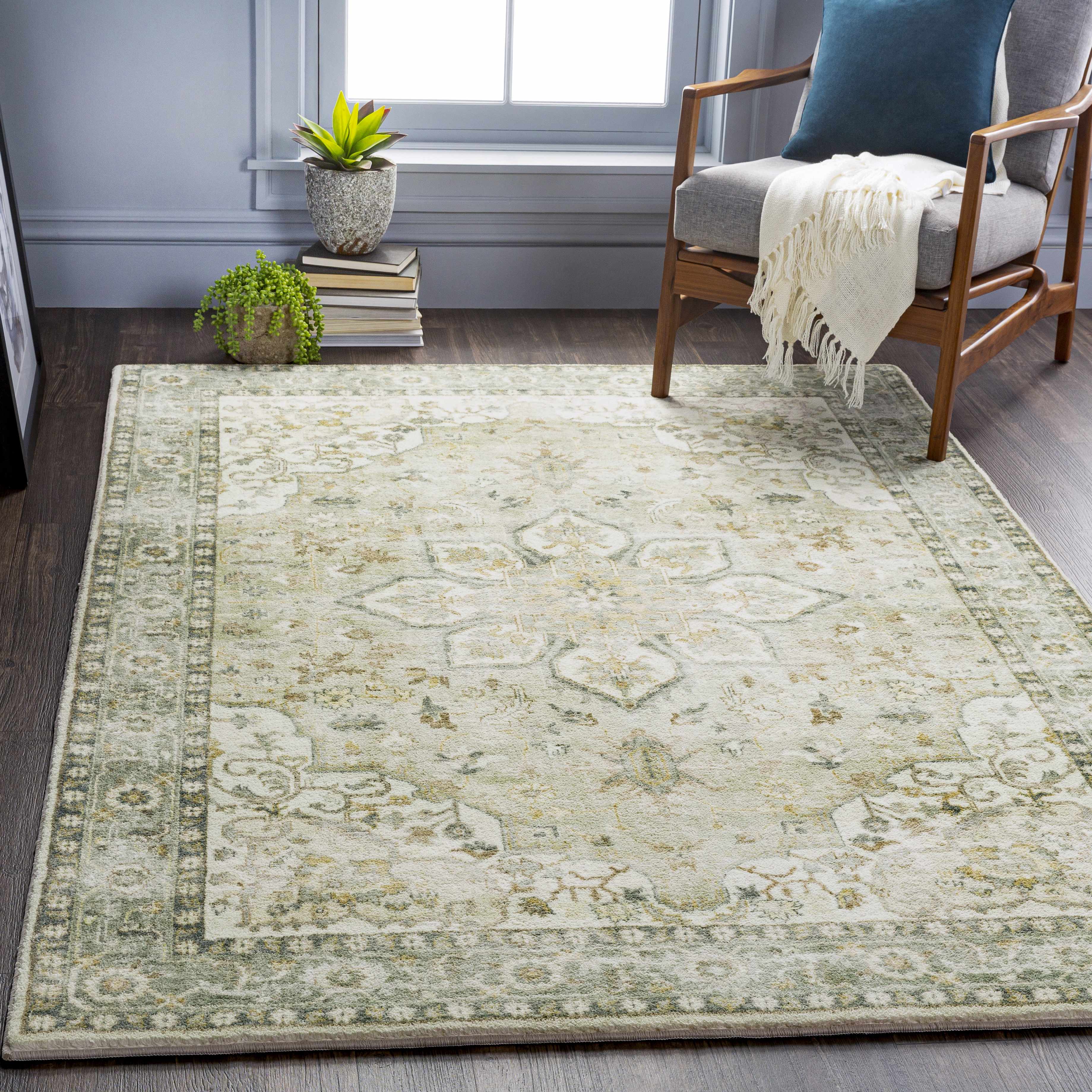 Crondall Sage Traditional Area Rug-0