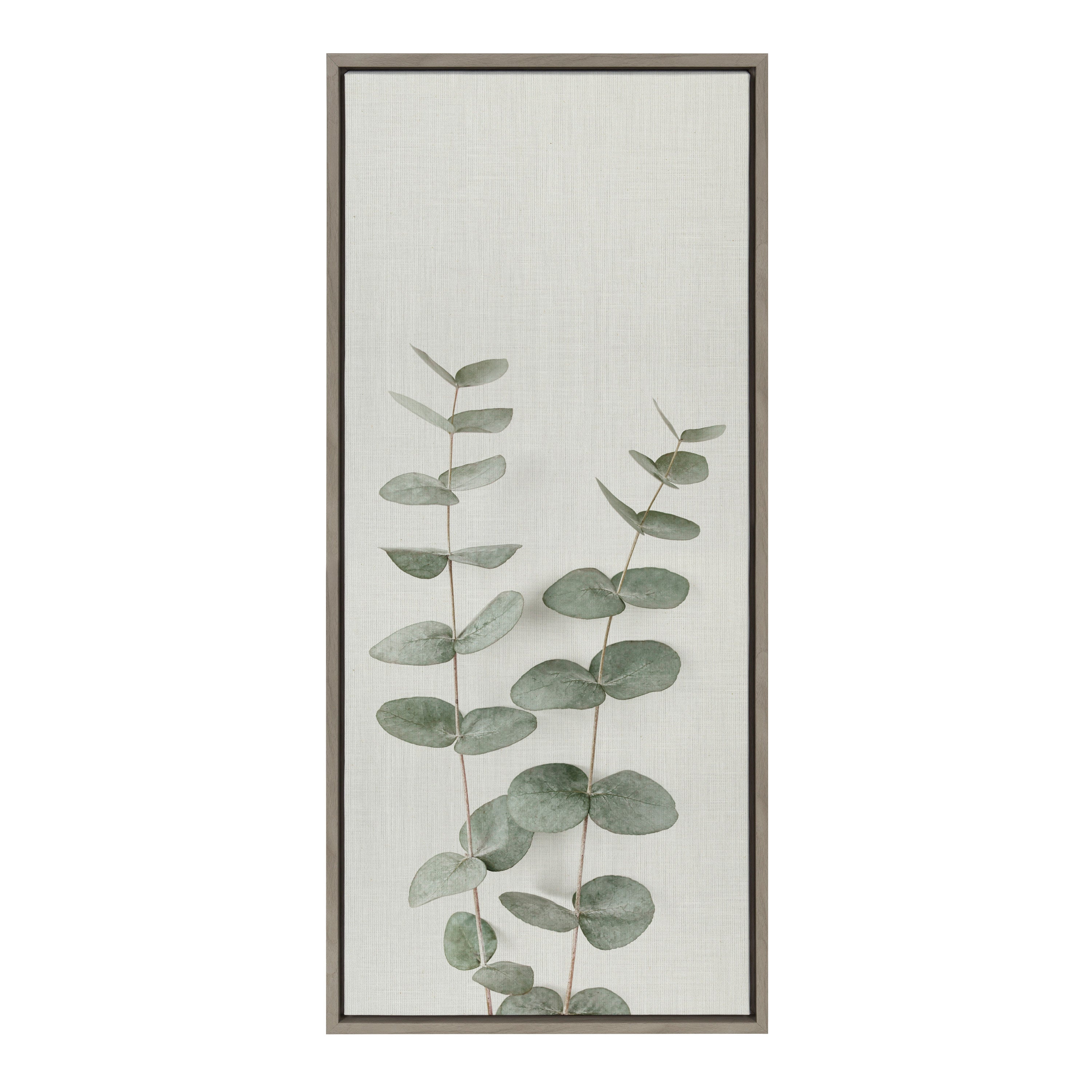 Sylvie Eucalyptus Botanical II Framed Canvas by The Creative Bunch Studio