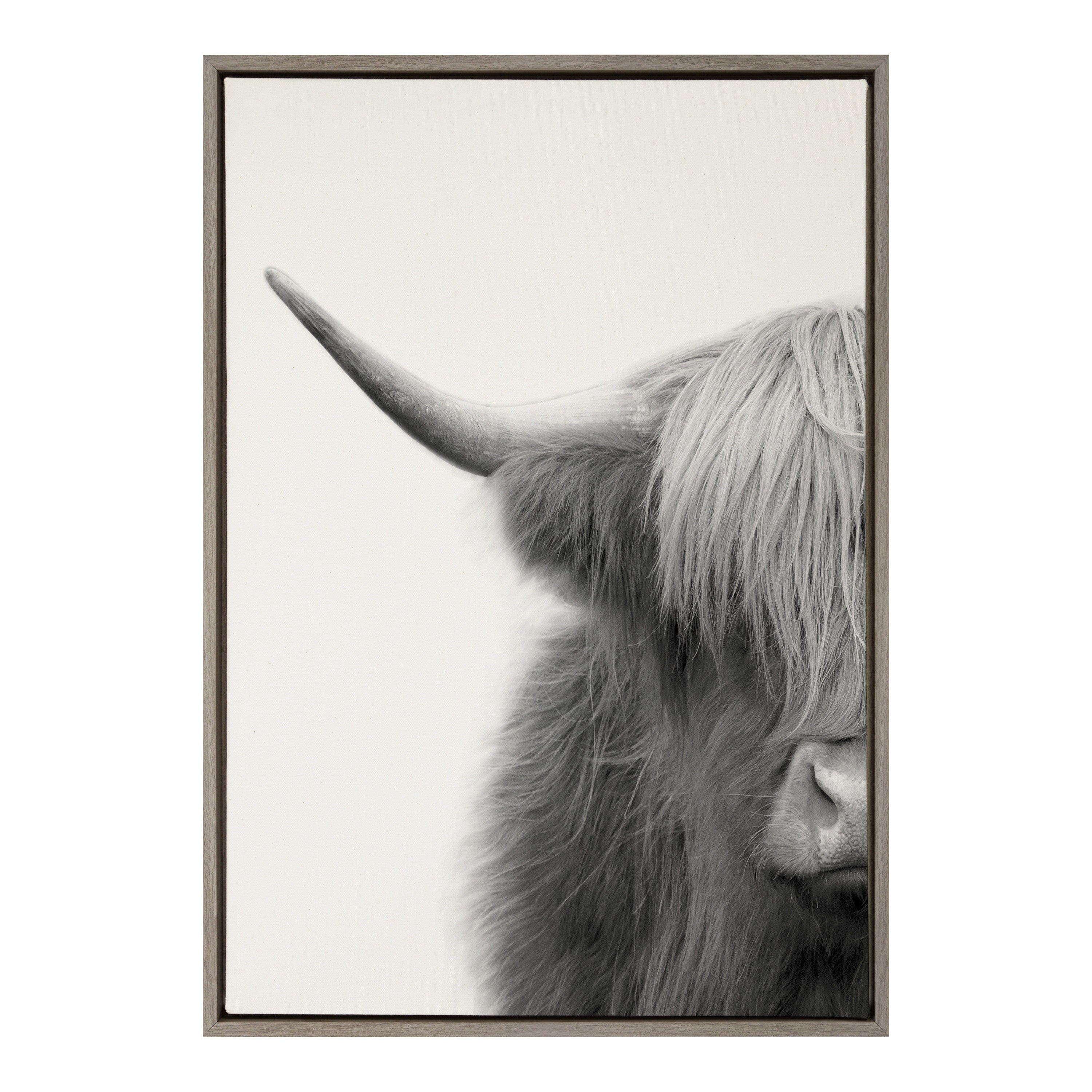 Sylvie Hey Dude Highland Cow Crop Framed Canvas by The Creative Bunch Studio