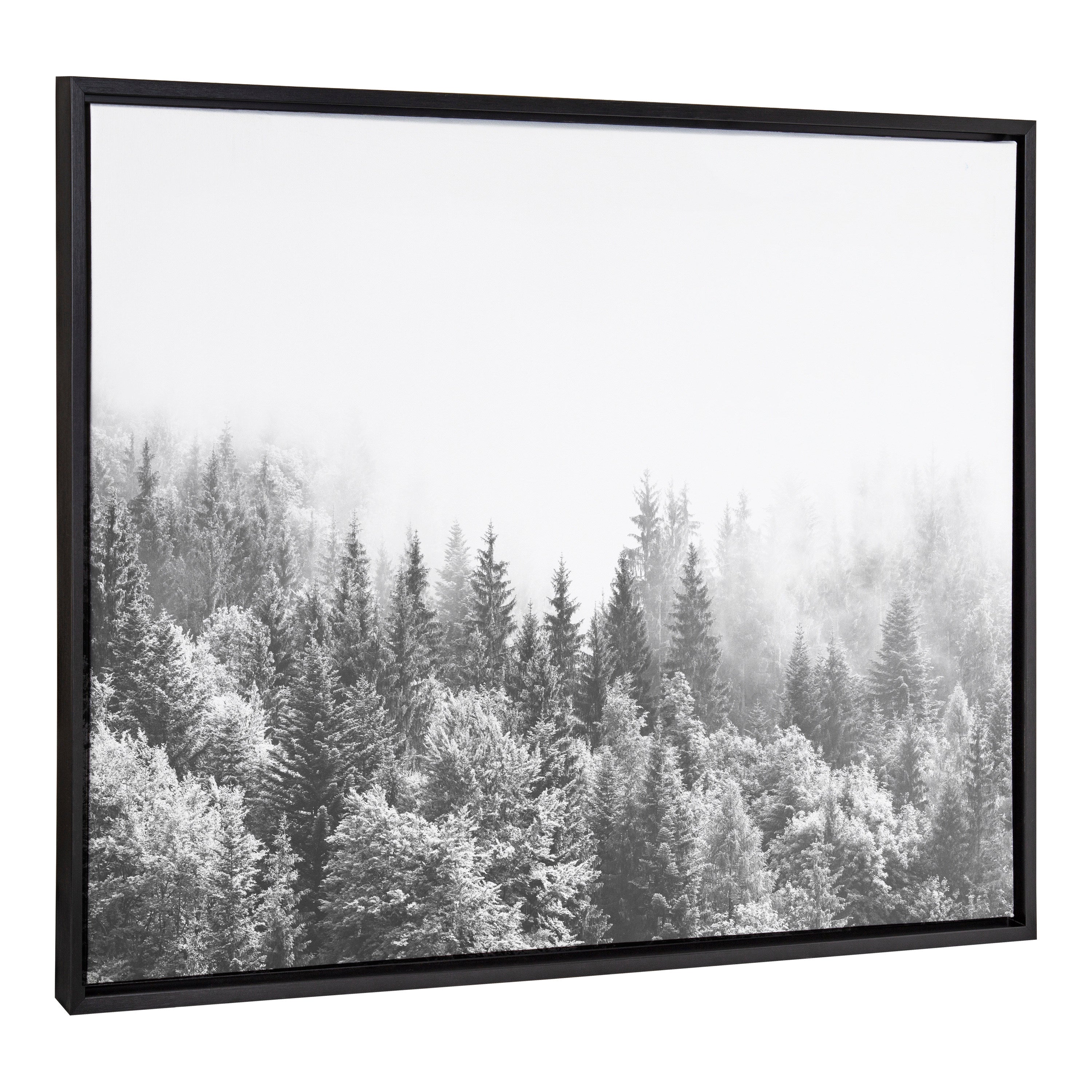 Sylvie Forest On A Foggy Day BW Framed Canvas by The Creative Bunch Studio