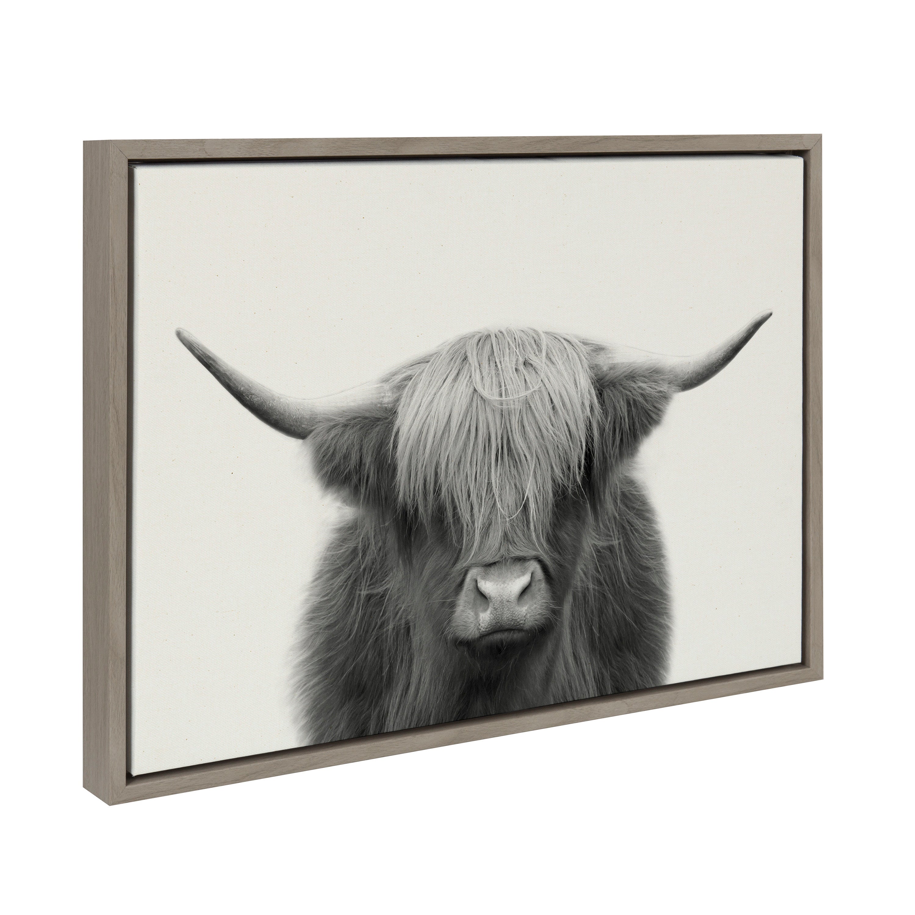 Sylvie Hey Dude Highland Cow Framed Linen Canvas by The Creative Bunch Studio