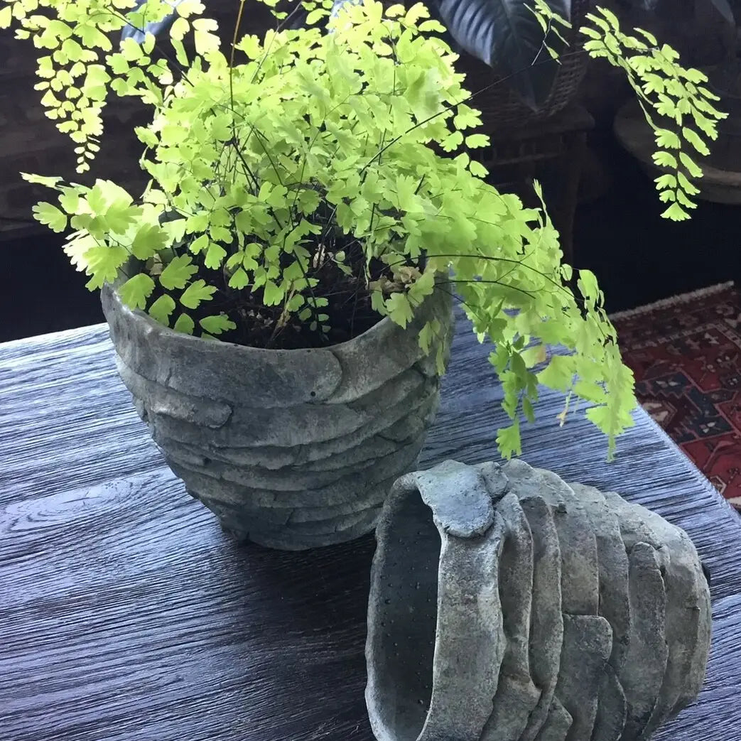 Palm Leaf Planter