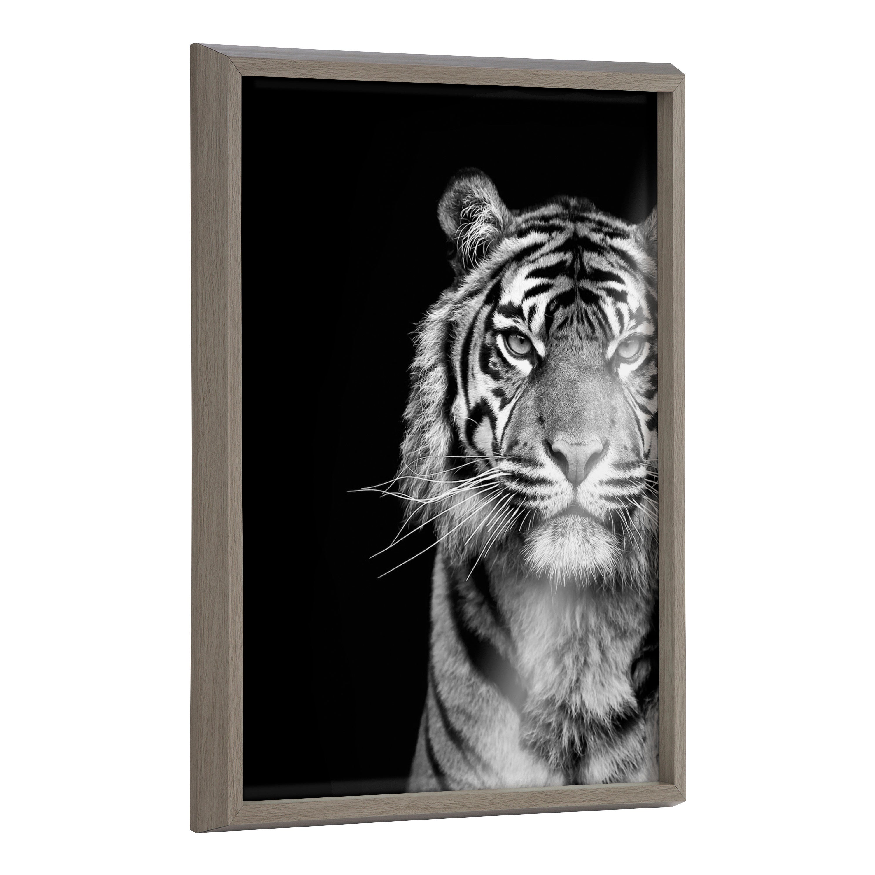 Blake Tiger Minimalist Animal Framed Printed Glass by The Creative Bunch Studio