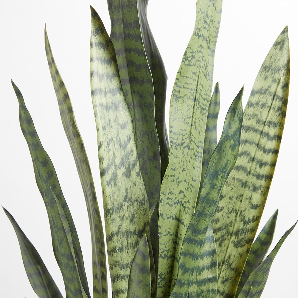 Artificial Snake Plant - 40"-3