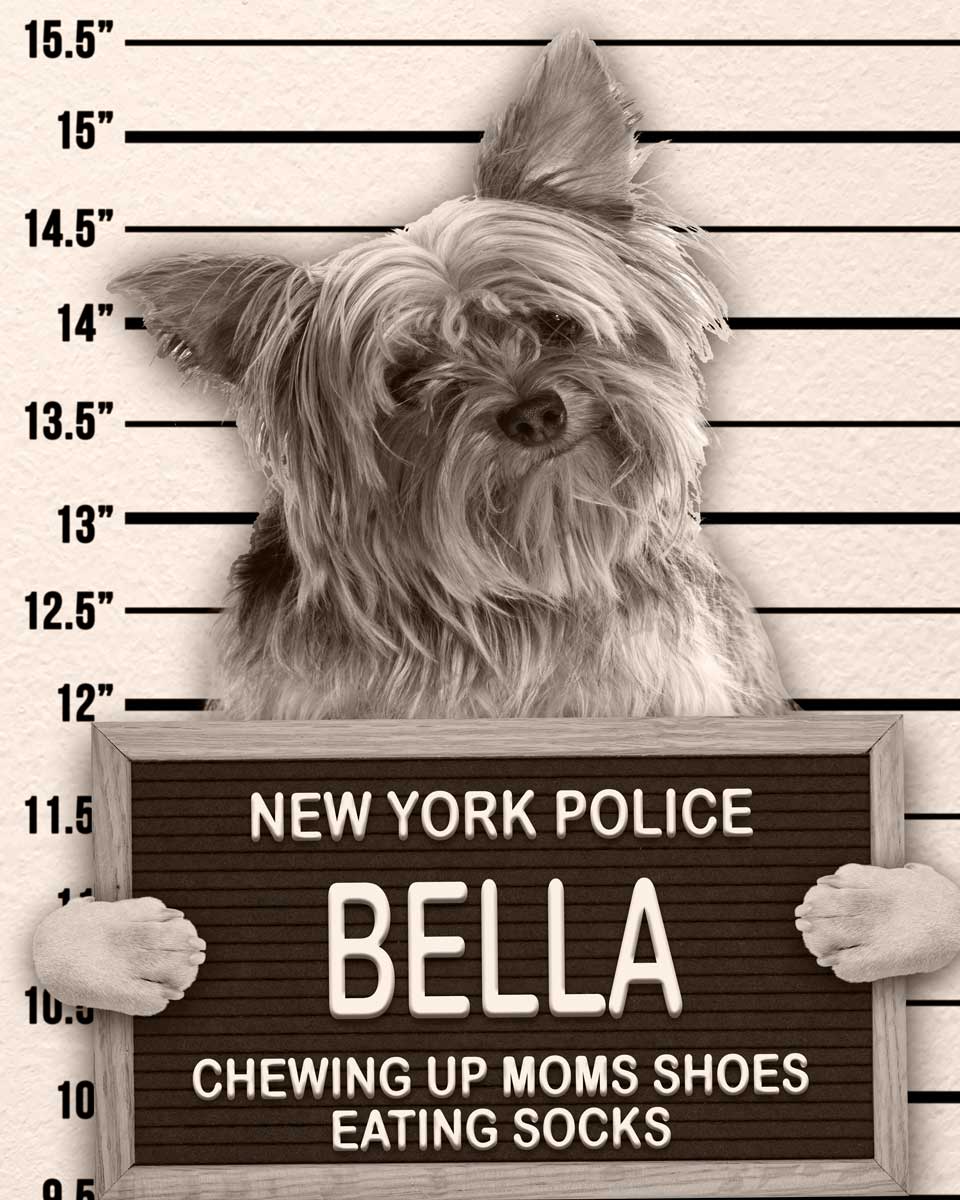 Dog Mugshot Custom Pet Mugshot of your Dog, Cat or Pet