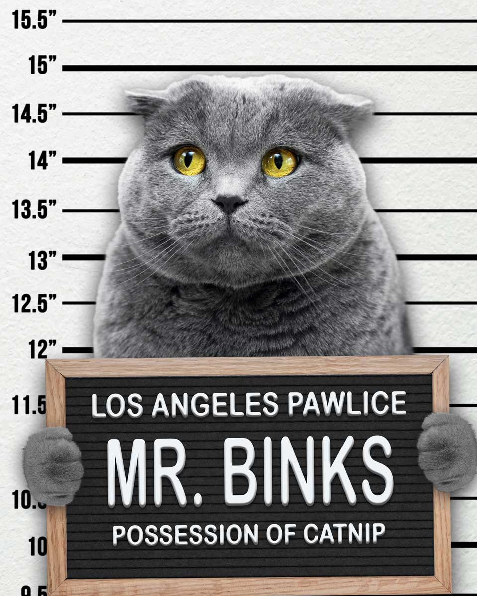 Dog Mugshot Custom Pet Mugshot of your Dog, Cat or Pet