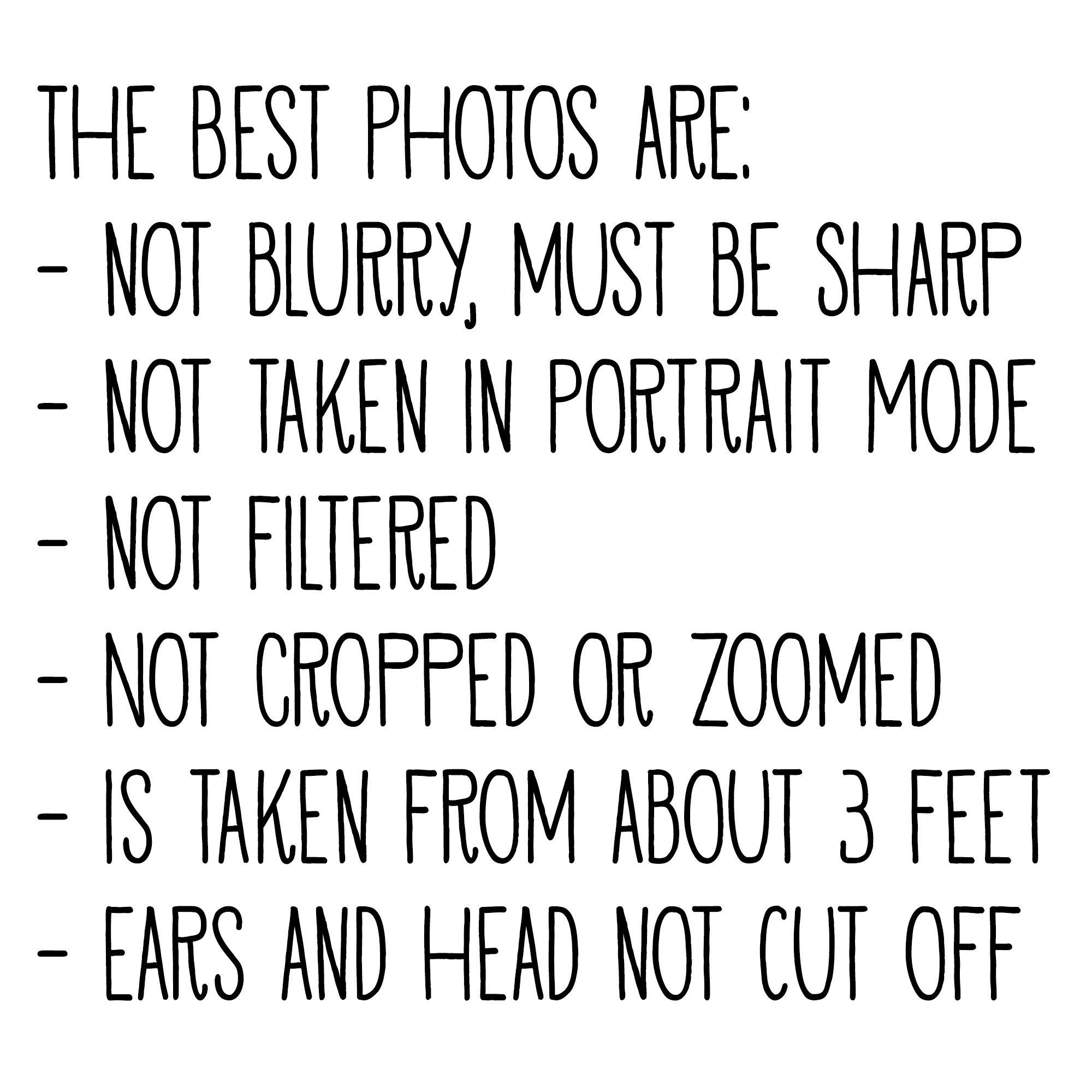 Dog Mugshot Custom Pet Mugshot of your Dog, Cat or Pet