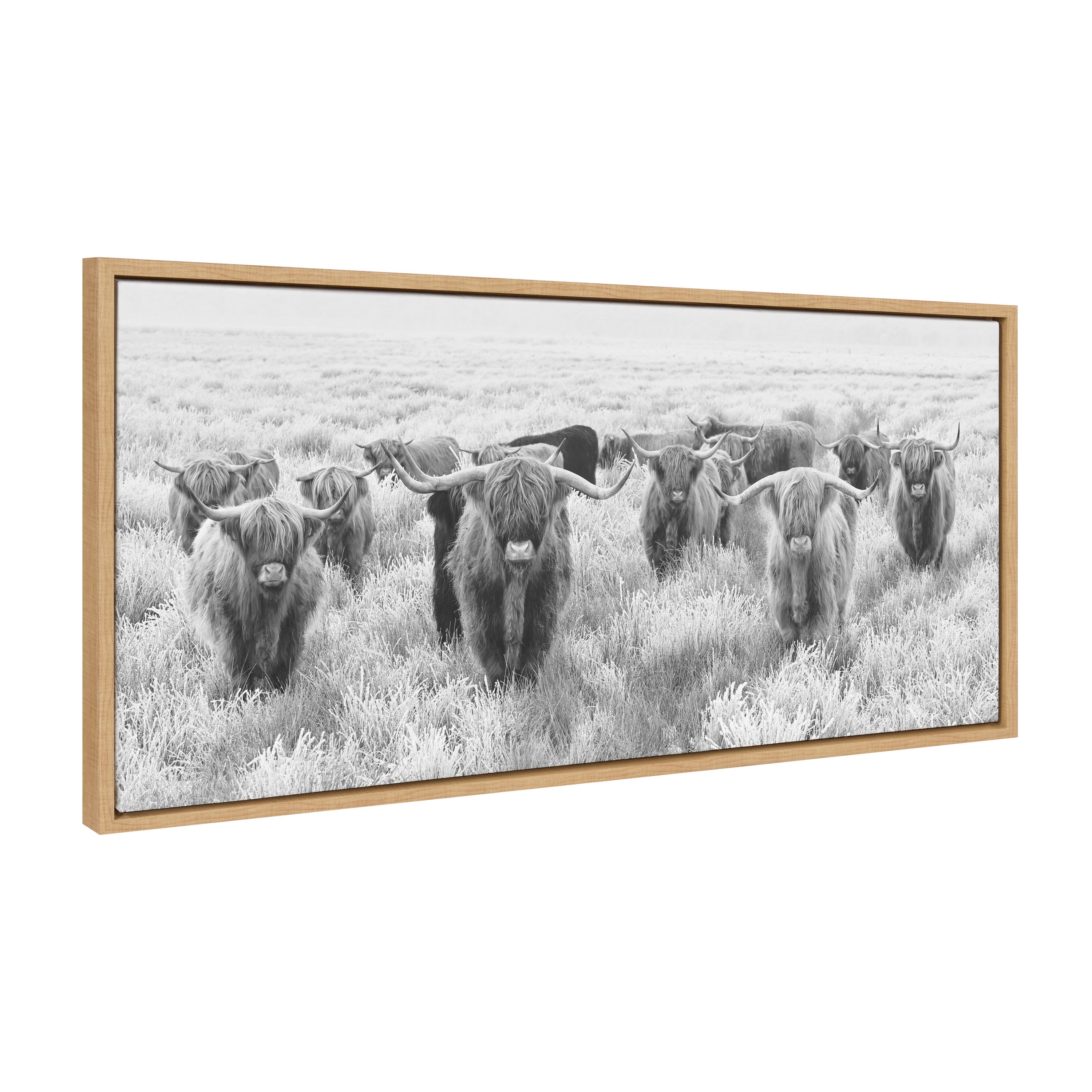 Sylvie Herd of Highland Cows Black and White Framed Canvas by The Creative Bunch Studio