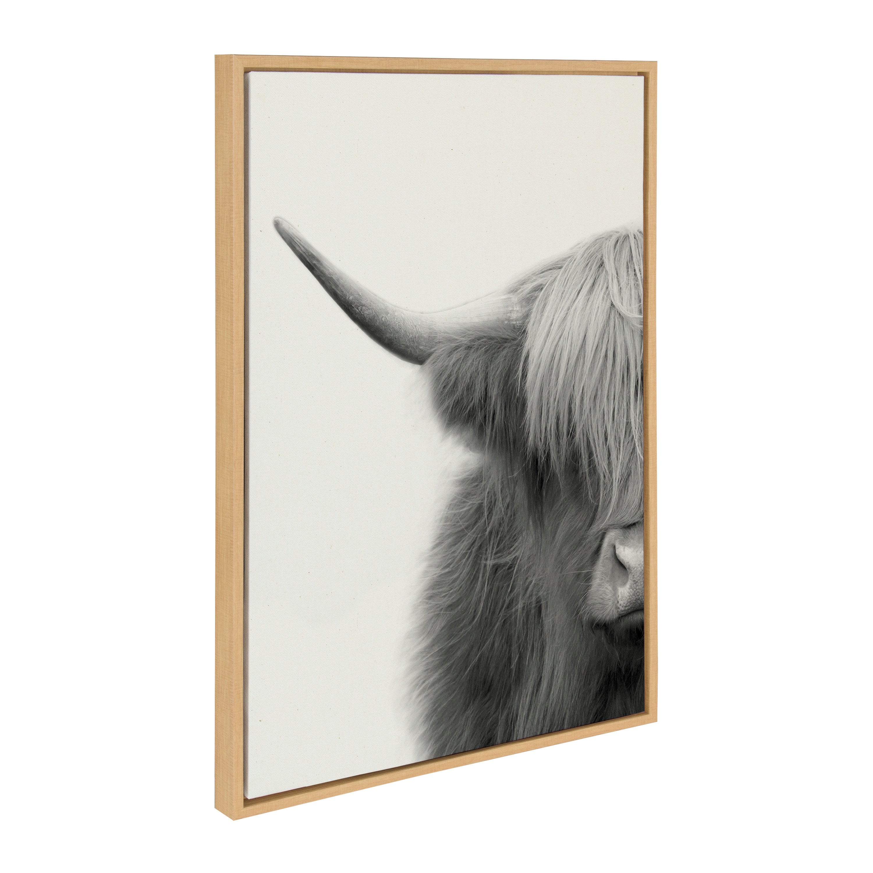 Sylvie Hey Dude Highland Cow Crop Framed Canvas by The Creative Bunch Studio