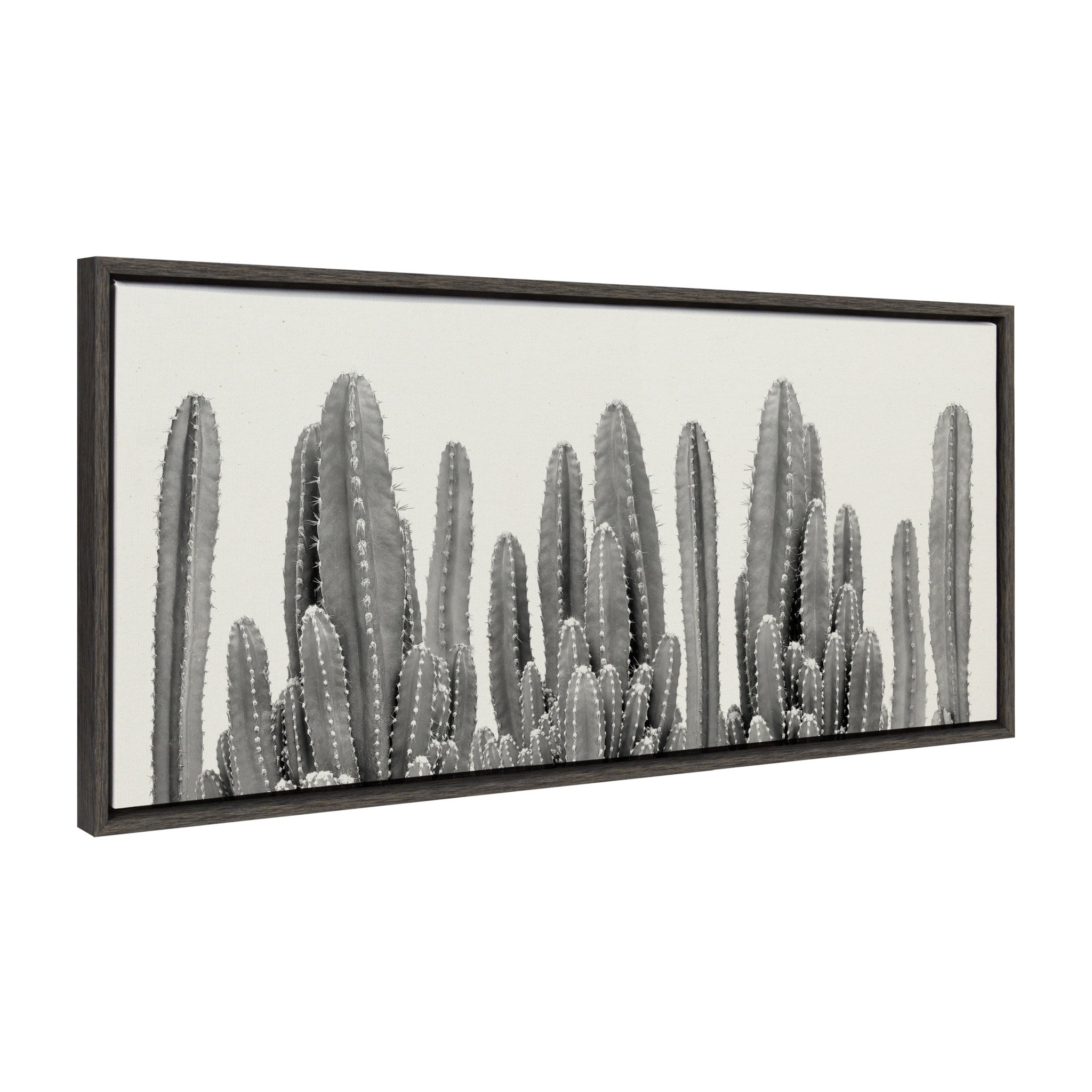 Sylvie Looking Sharp Cactus Garden Framed Canvas by The Creative Bunch Studio