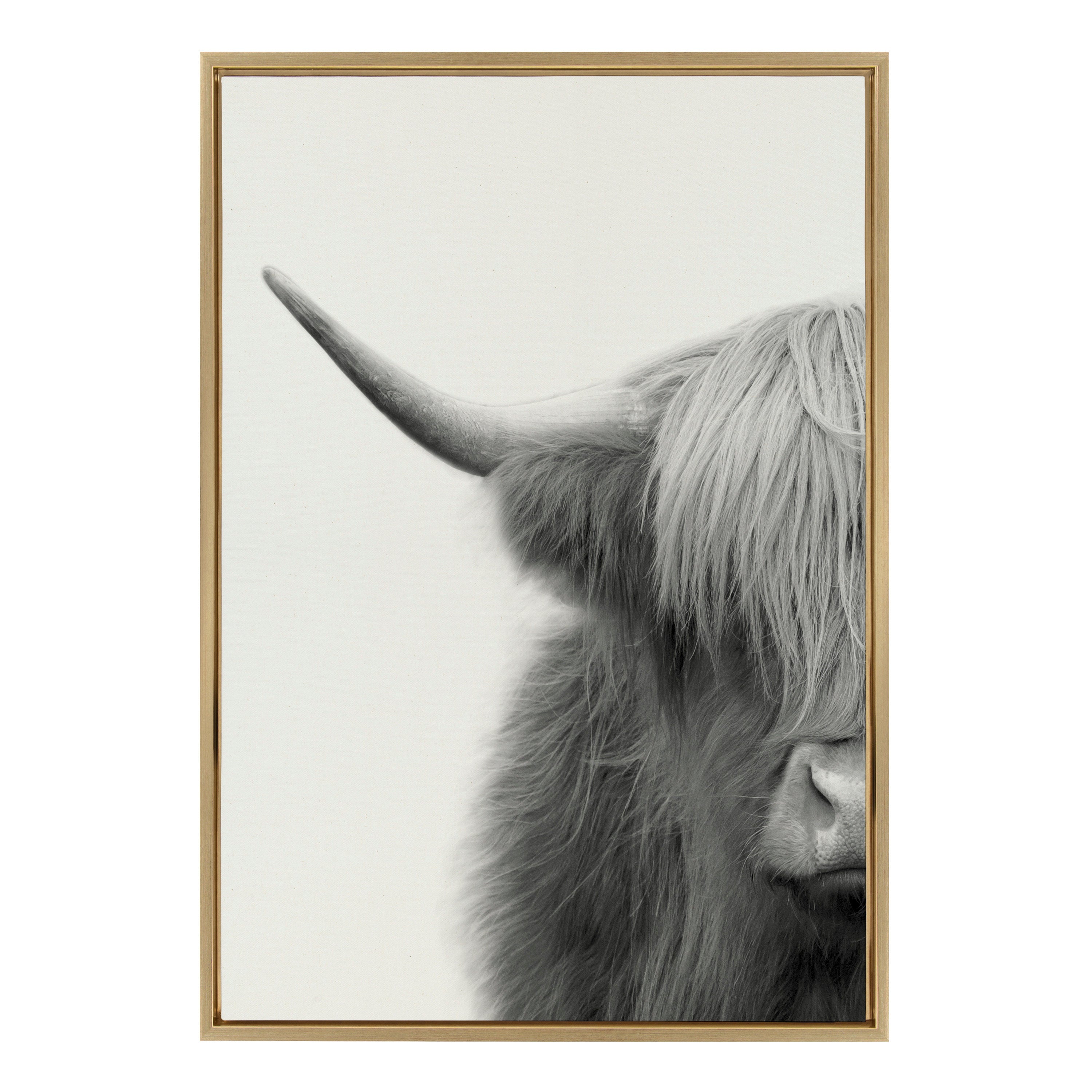 Sylvie Hey Dude Highland Cow Crop Framed Canvas by The Creative Bunch Studio