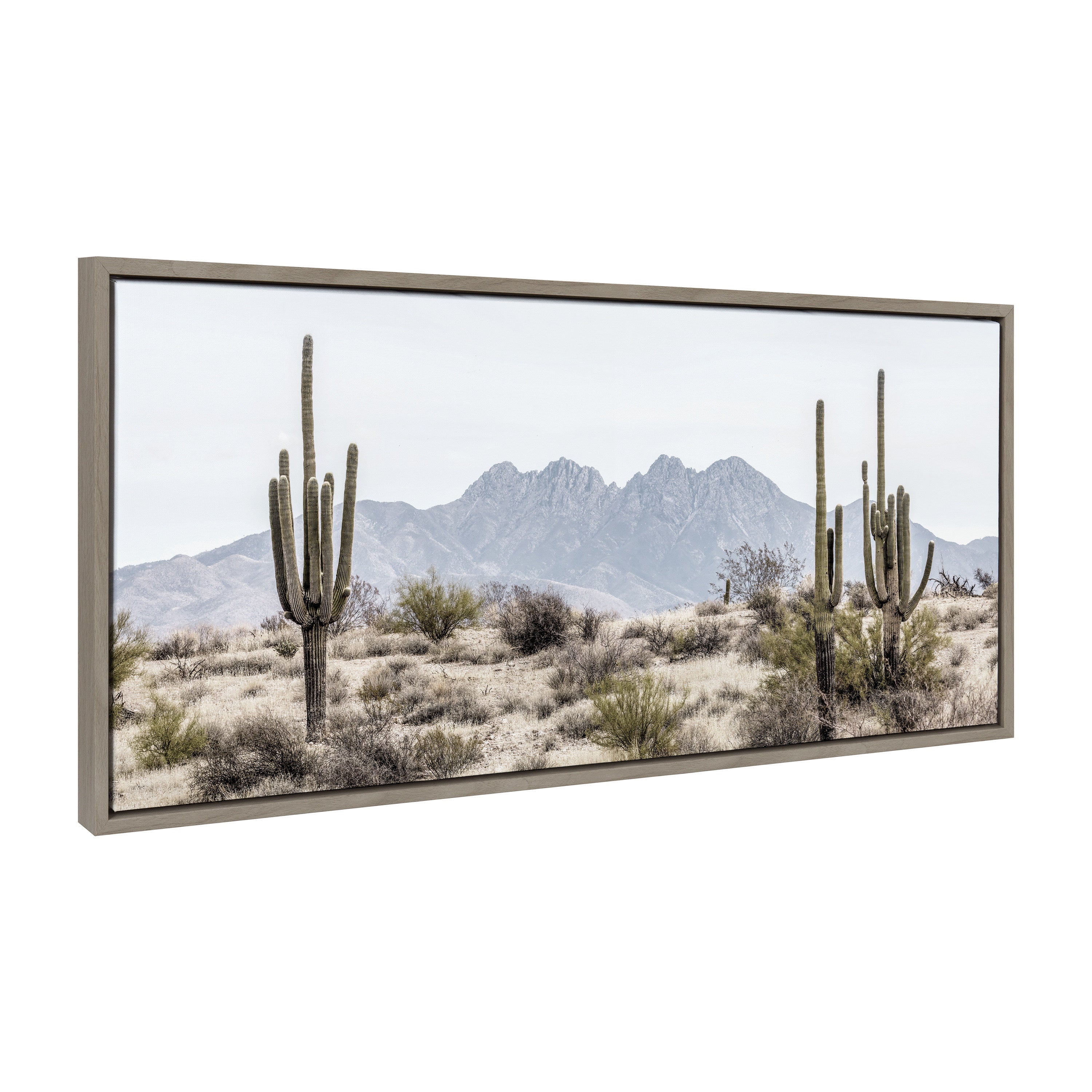 Sylvie Tall Saguaro Cacti Desert Mountain Framed Canvas by The Creative Bunch Studio