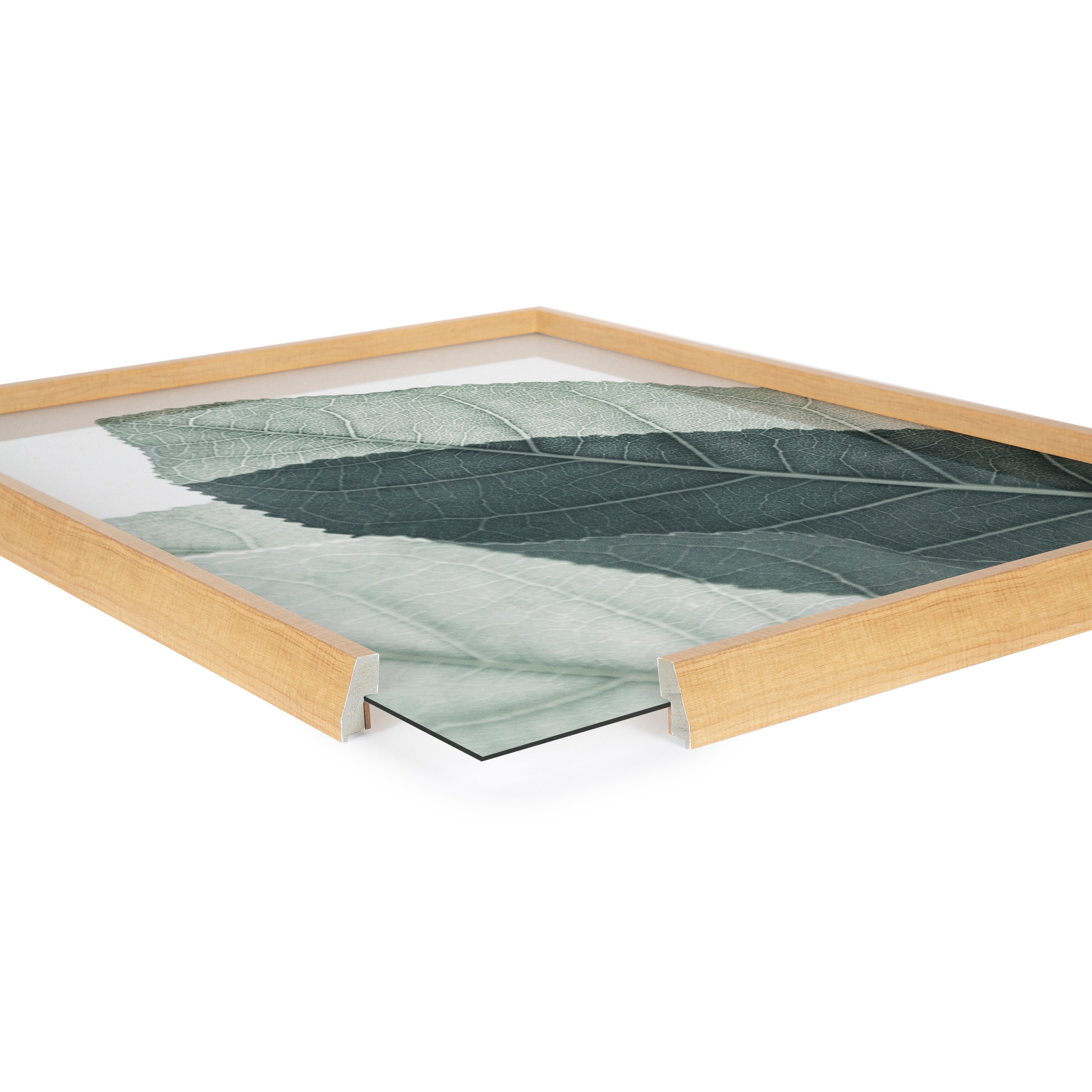 Blake Modern Green Leaf Botanical II Framed Printed Glass by The Creative Bunch Studio