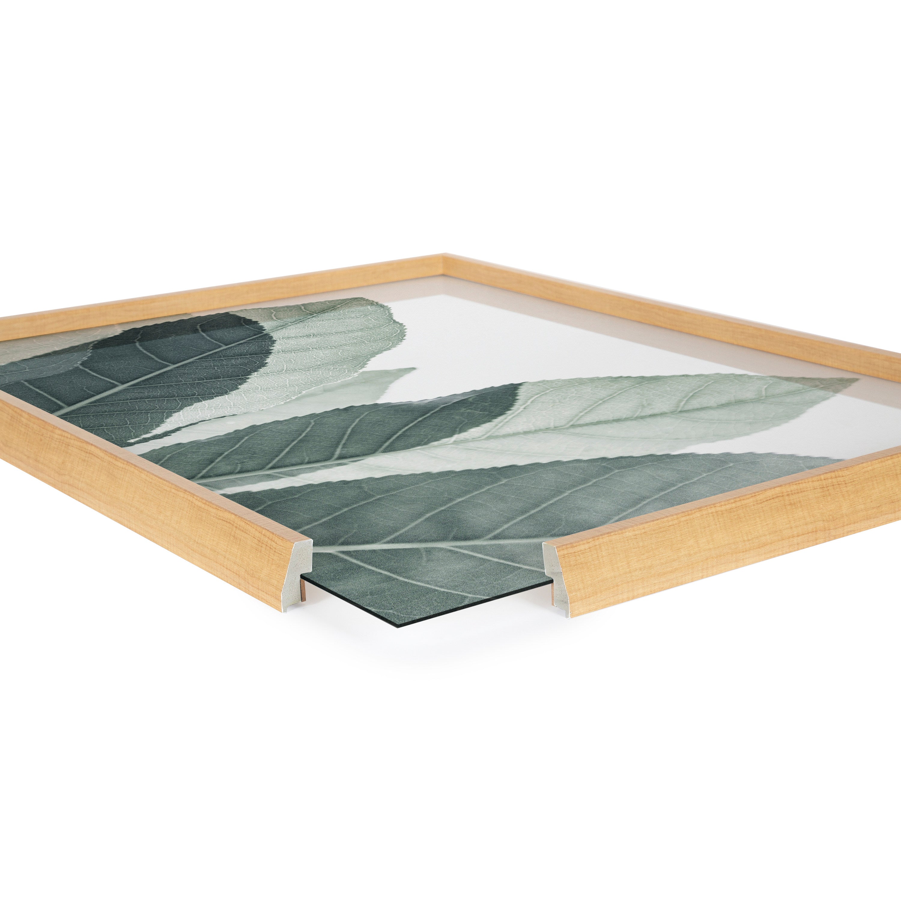 Blake Modern Green Leaf Botanical III Framed Printed Glass by The Creative Bunch Studio
