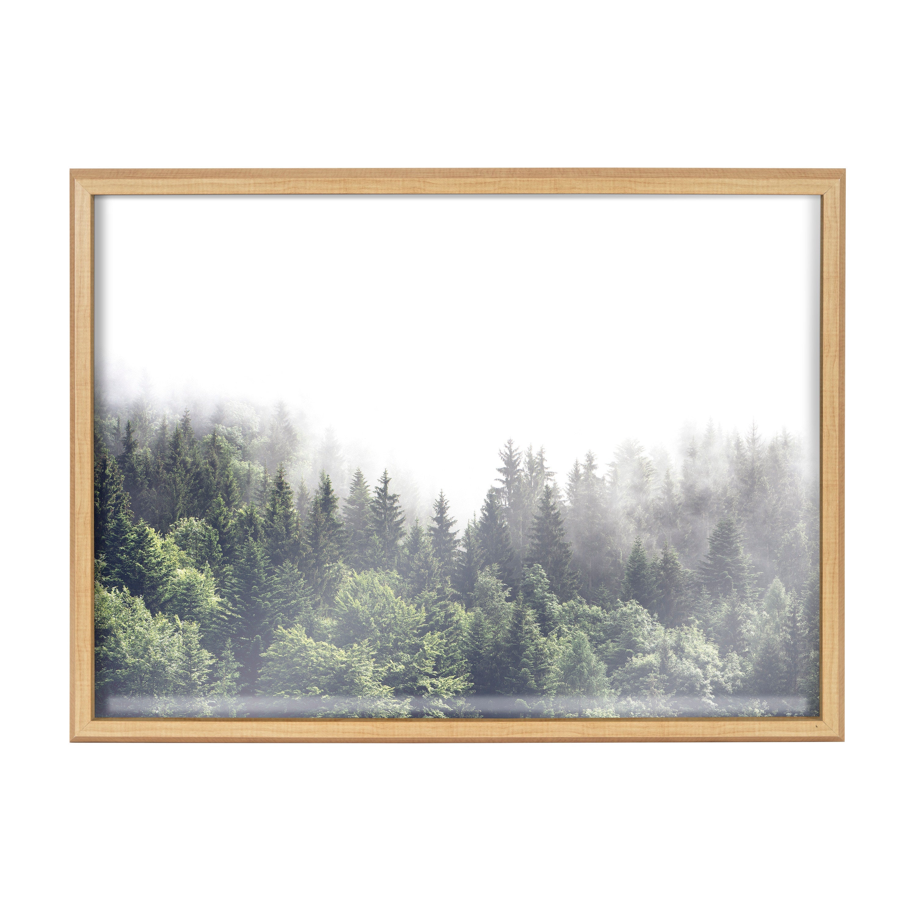 Blake Lush Green Forest on a Foggy Day Framed Printed Glass by The Creative Bunch Studio