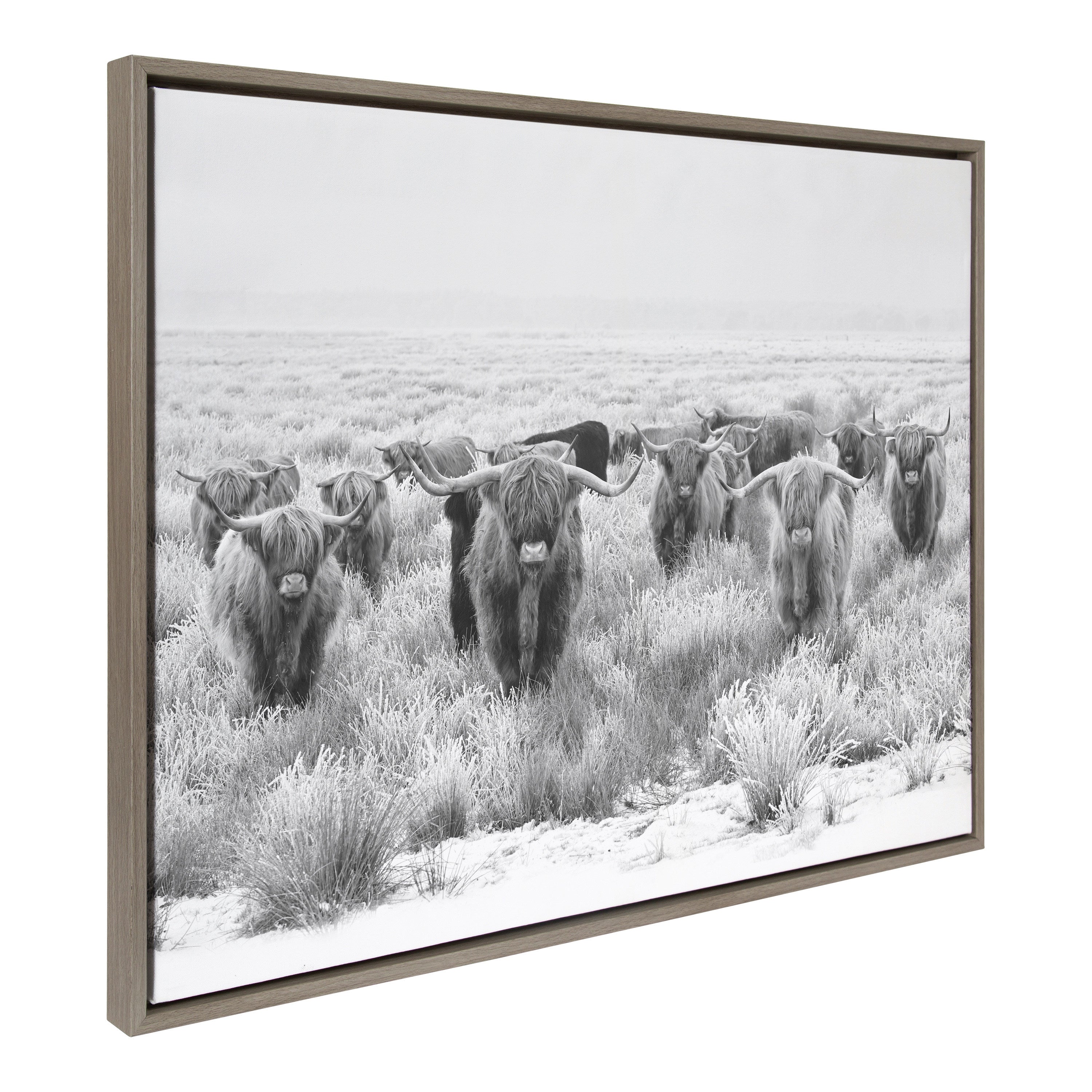 Sylvie Herd of Highland Cows Black and White Framed Canvas by The Creative Bunch Studio
