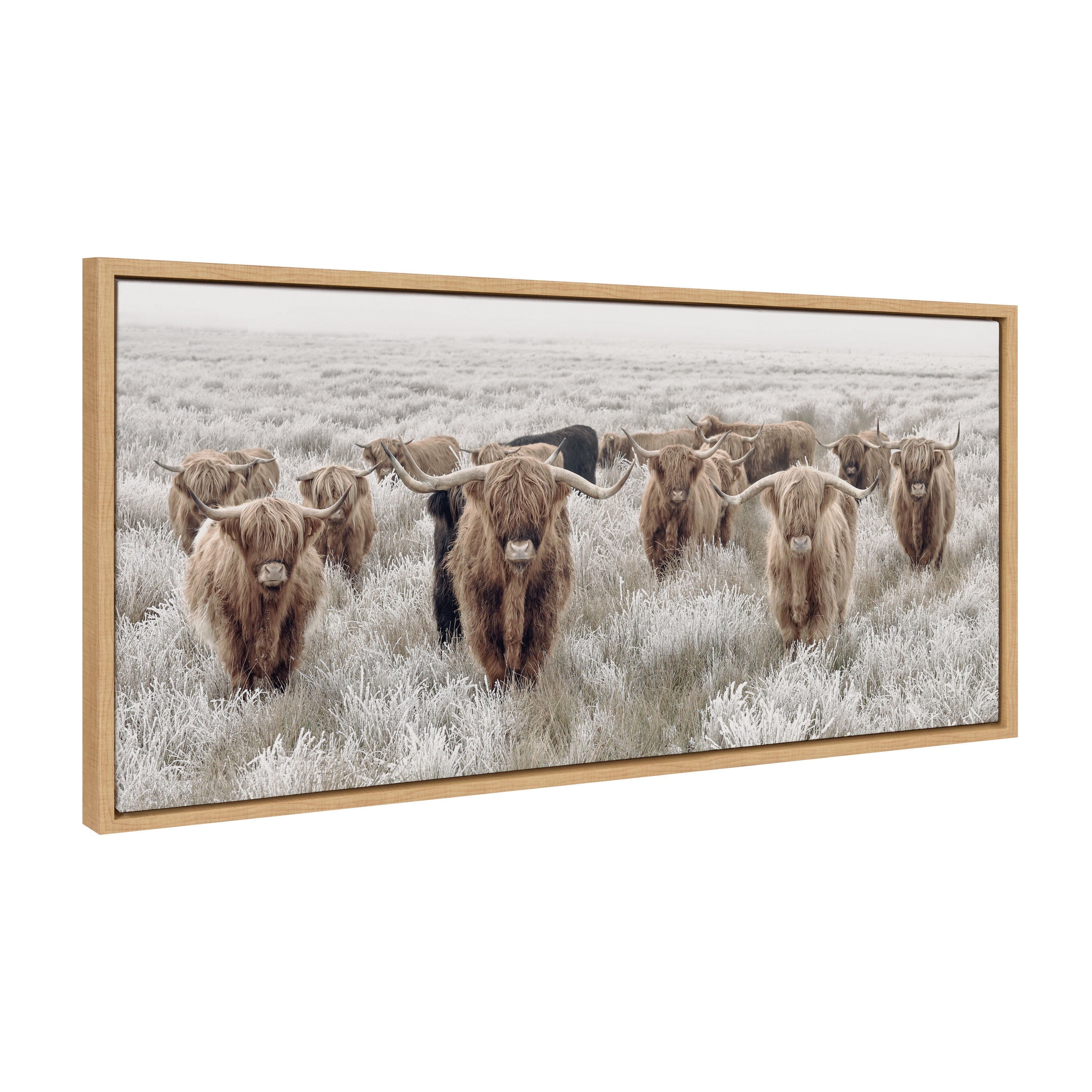 Sylvie Herd of Highland Cows Color Framed Canvas by The Creative Bunch Studio