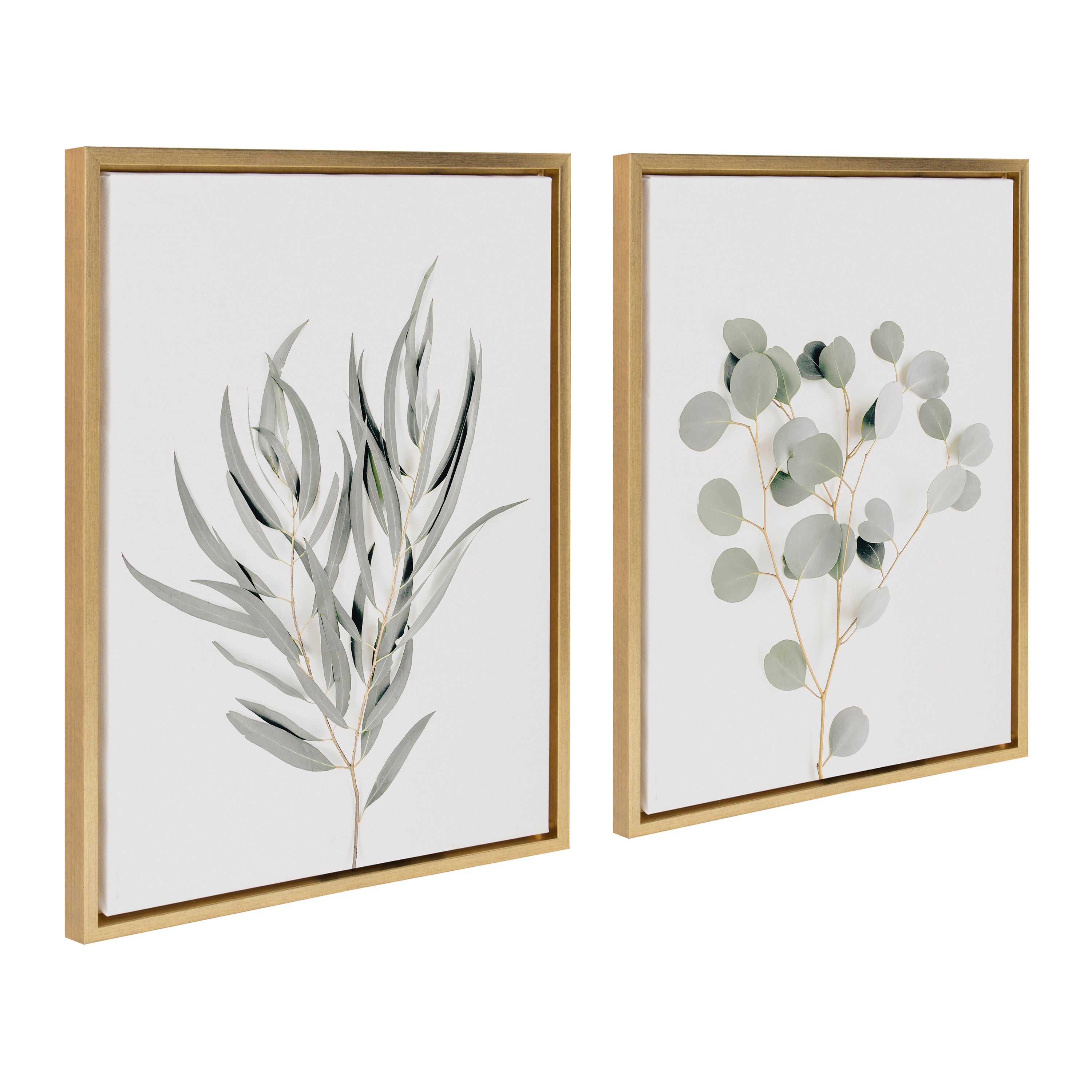 Sylvie Neutral Botanical 1 and 2 Framed Canvas Set by The Creative Bunch Studio