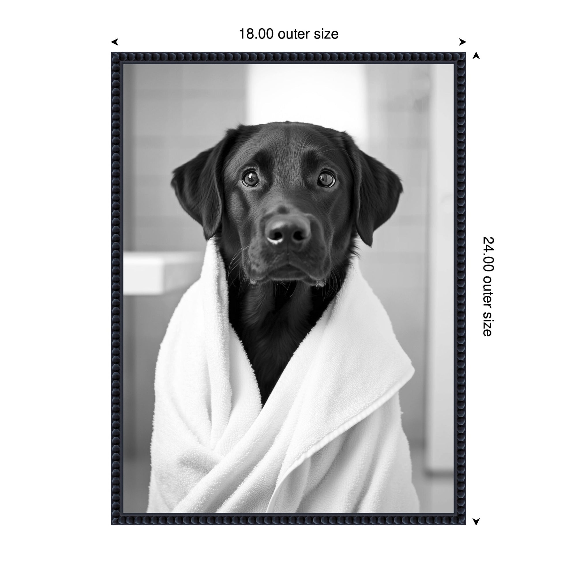 Sylvie Black Lab Bathroom Art Towel Robe Black and White Framed Canvas by The Creative Bunch Studio