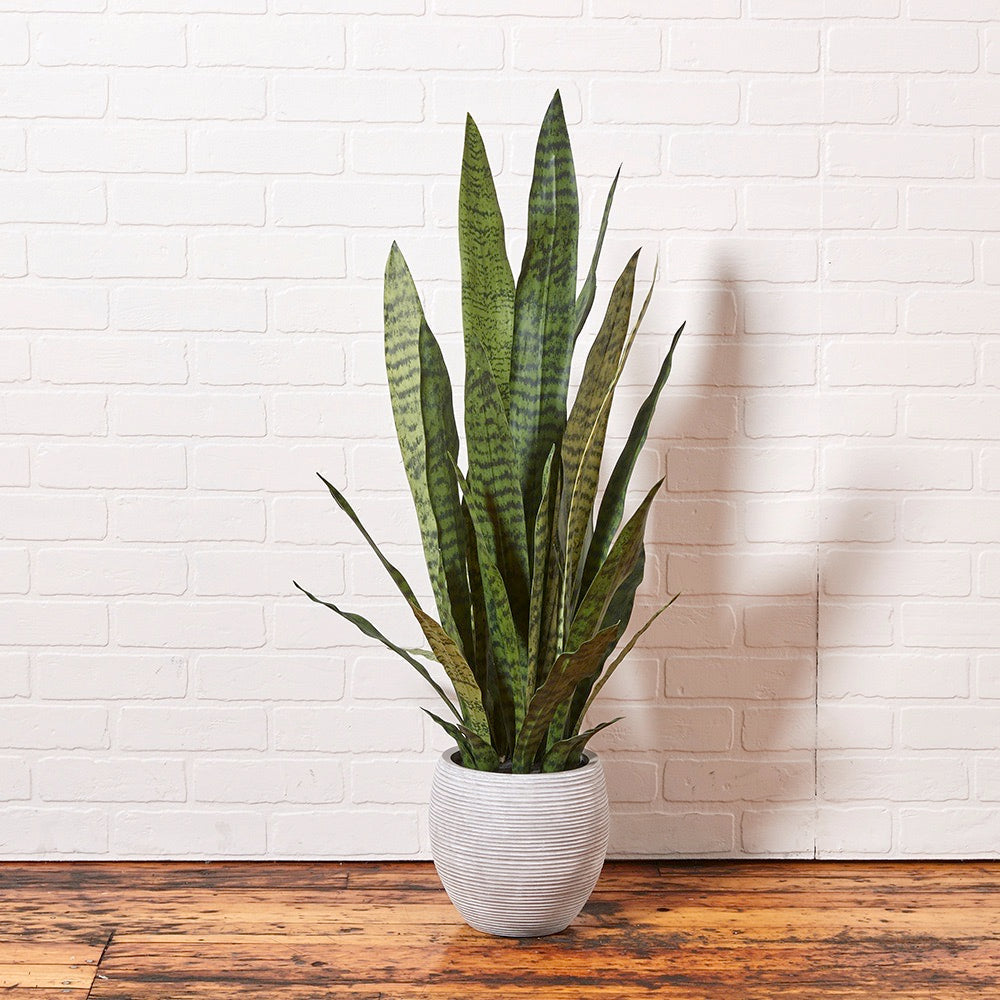 Artificial Snake Plant - 40"-2