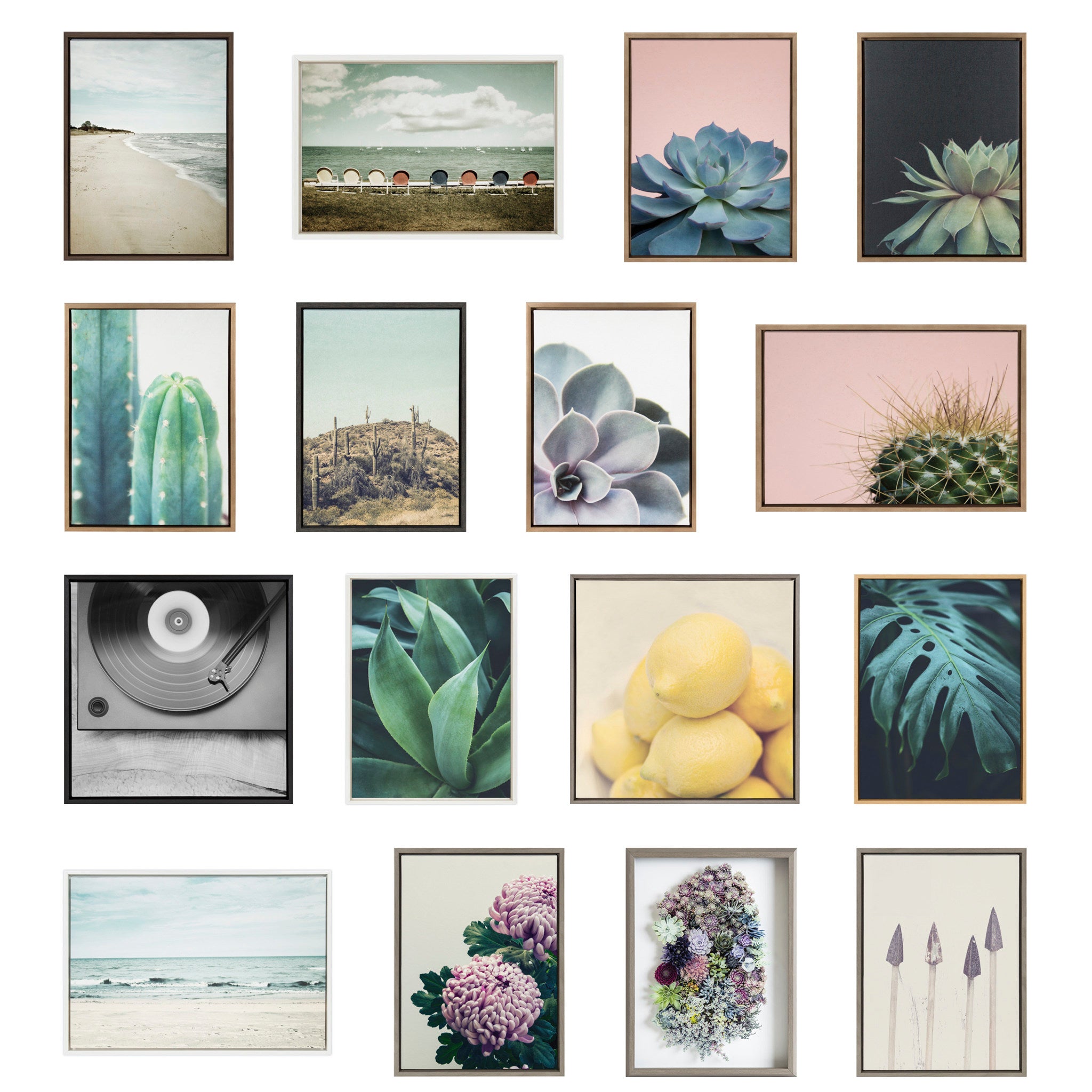 Sylvie Succulent 5 and Succulent 8 Framed Canvas by Emiko and Mark Franzen of F2Images