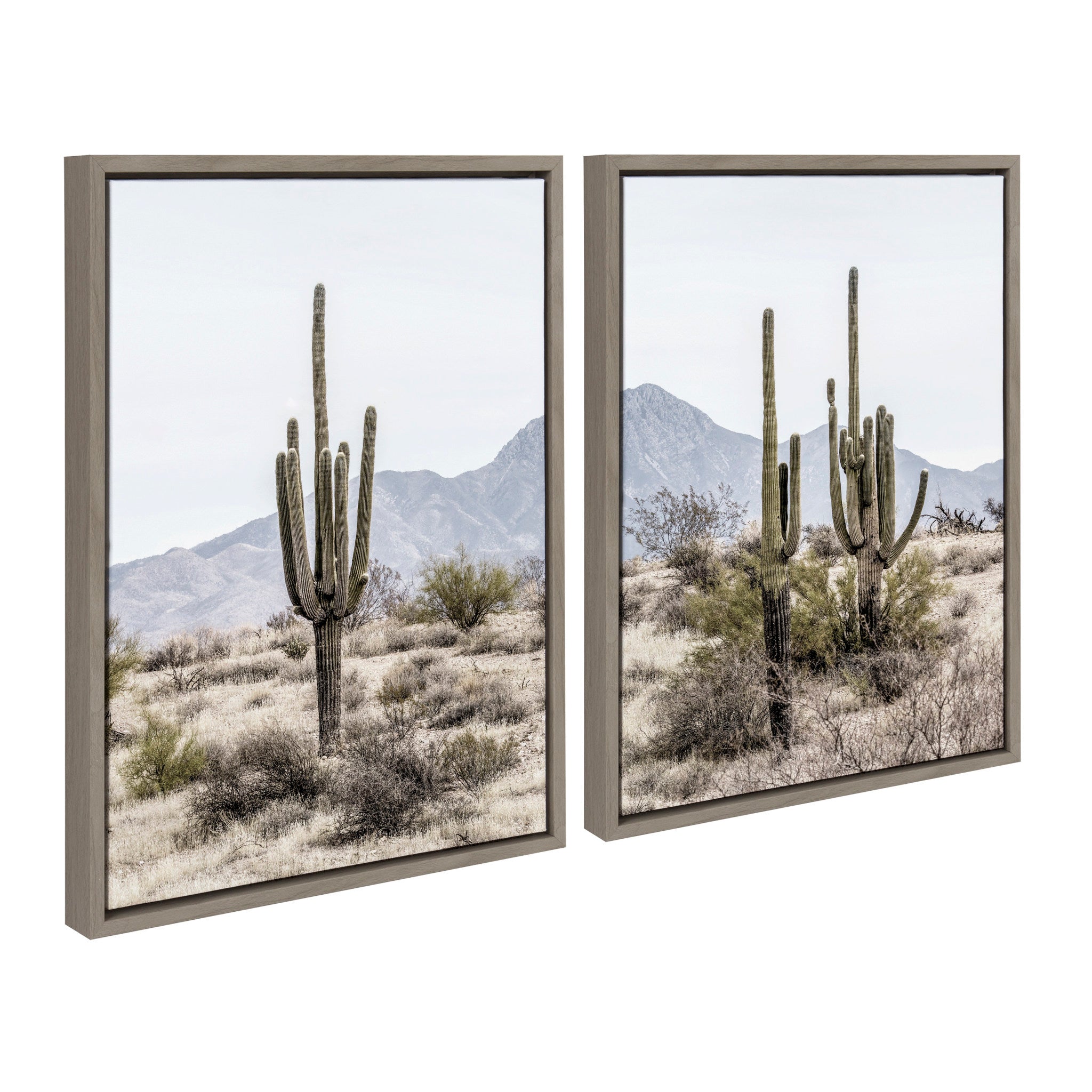Sylvie Tall Saguaro Cacti Desert Mountain Framed Canvas Set by The Creative Bunch Studio