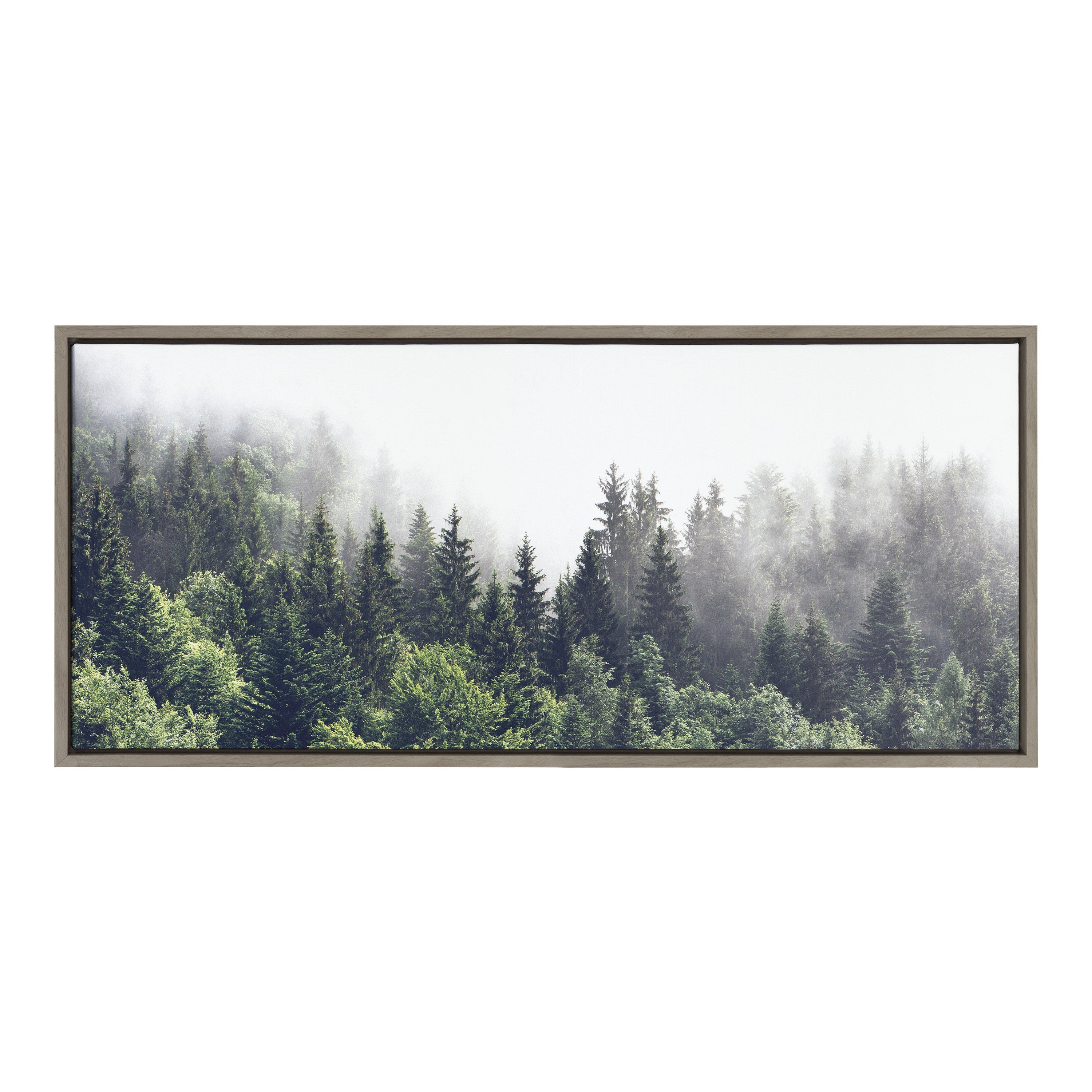 Sylvie Lush Green Forest On A Foggy Day Framed Canvas by The Creative Bunch Studio
