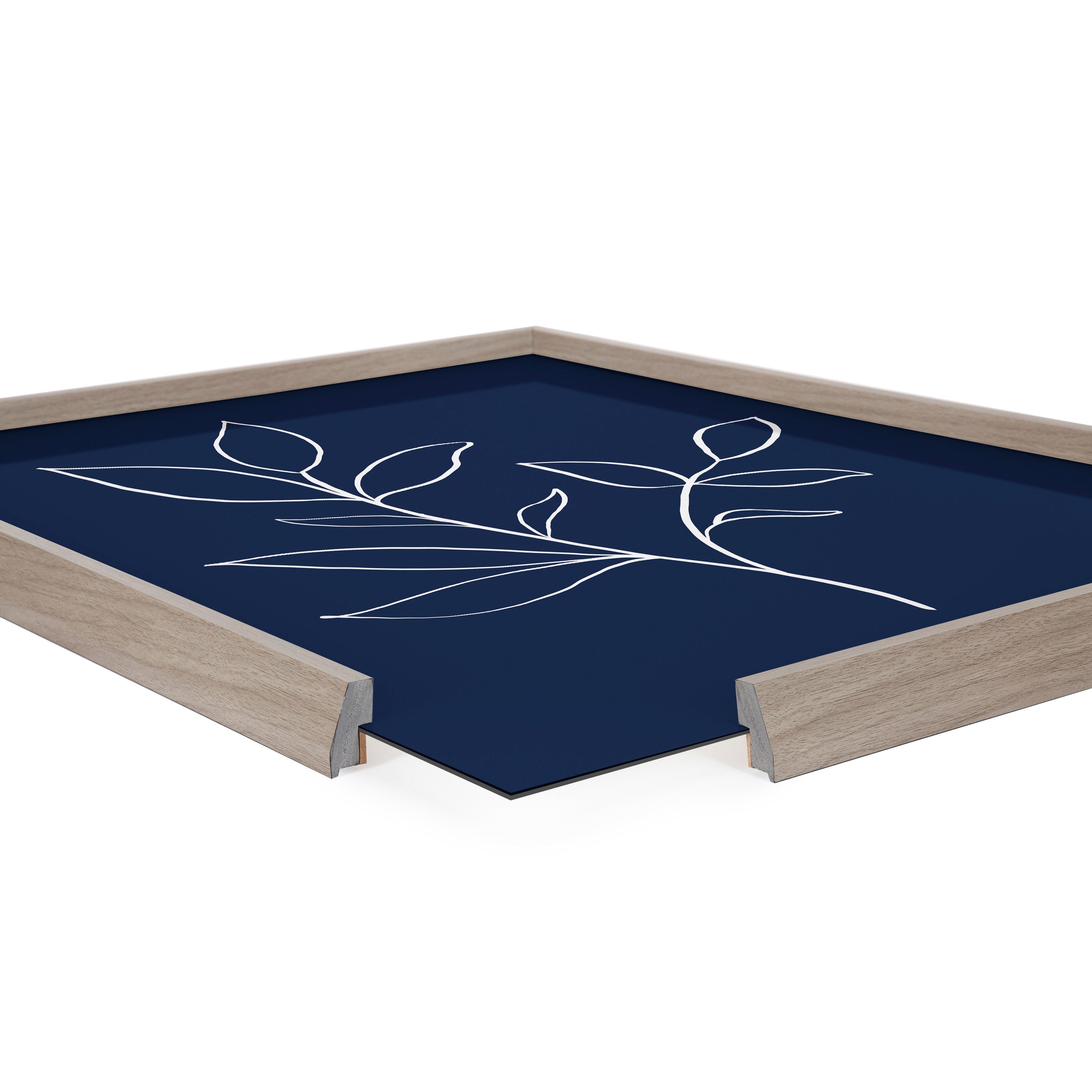 Blake Modern Blue Botanical Line Sketch Print 2 Framed Printed Glass by The Creative Bunch Studio