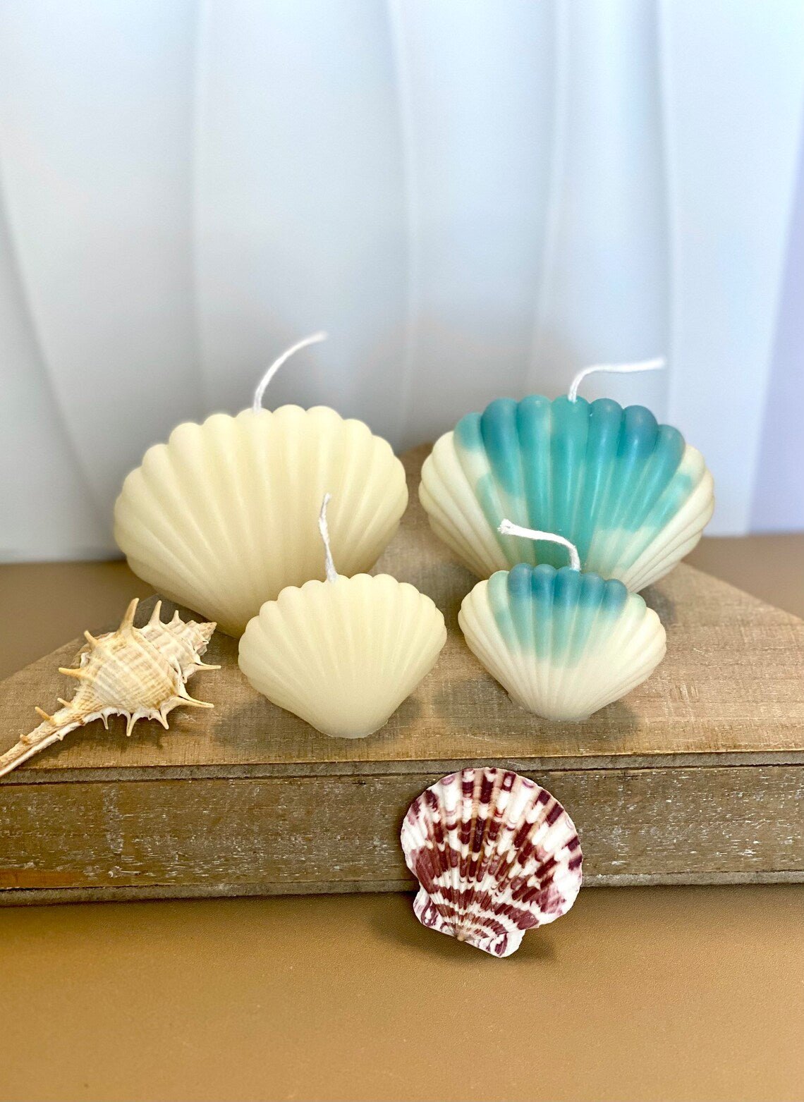 Handmade Soy Wax Shell Candles-4