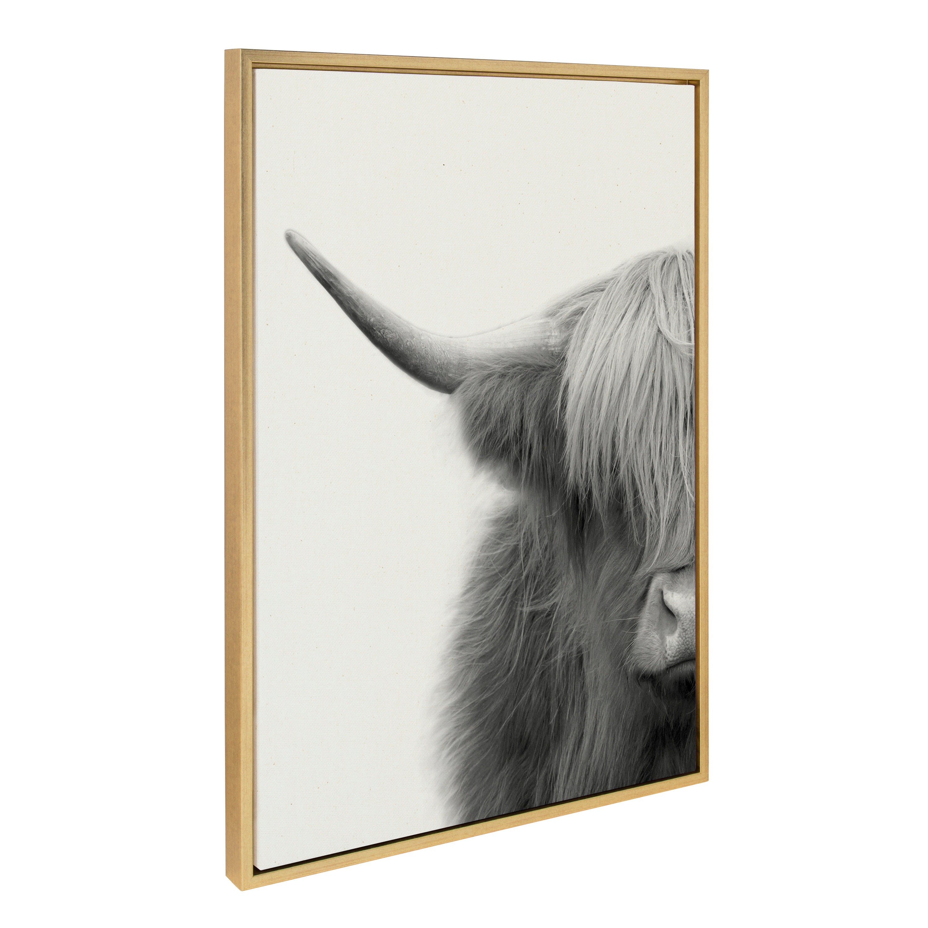 Sylvie Hey Dude Highland Cow Crop Framed Canvas by The Creative Bunch Studio