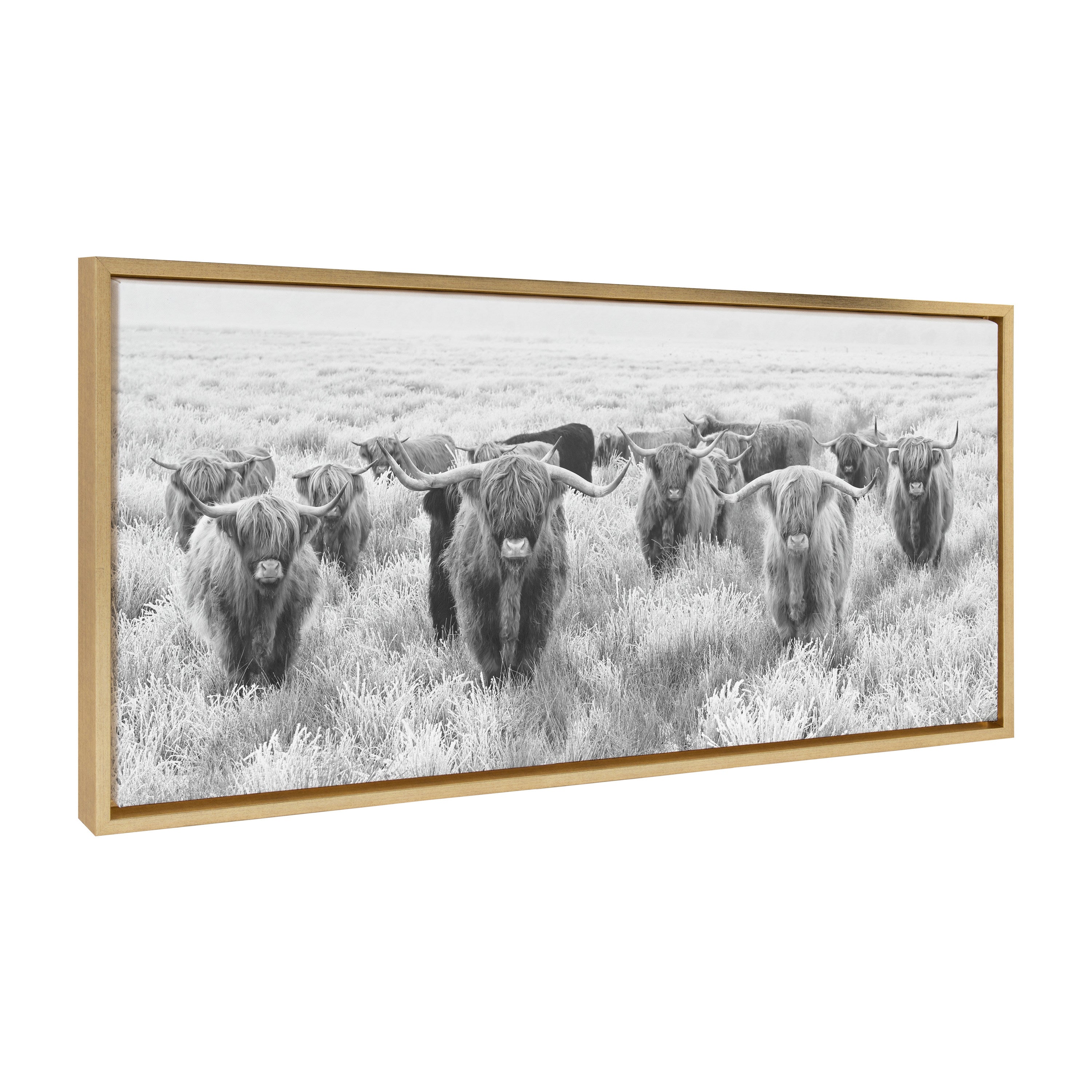Sylvie Herd of Highland Cows Black and White Framed Canvas by The Creative Bunch Studio