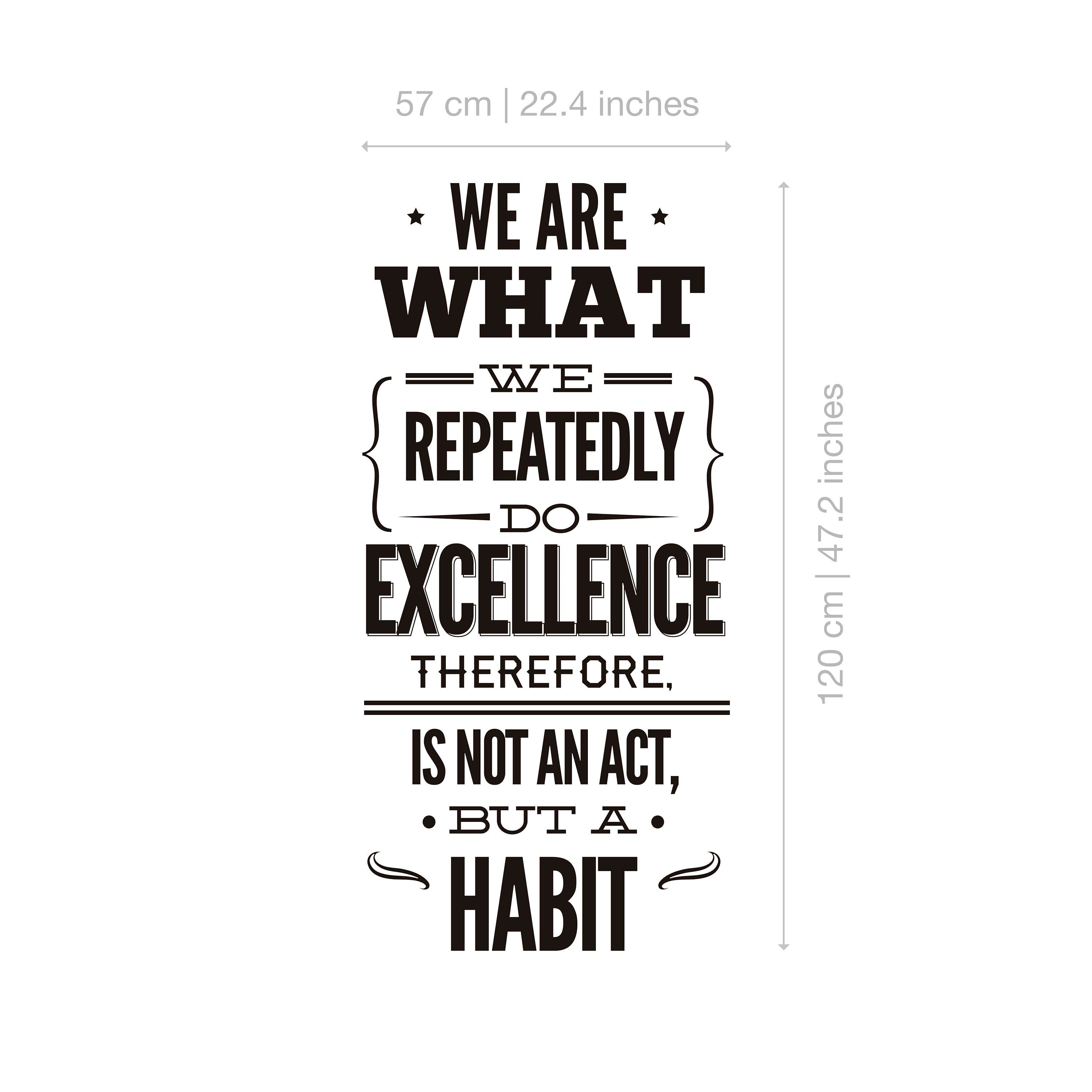 Excellence We are What We Do - Typography Stickers - Office Decor - Inspirational Stickers - Motivational Decals SKU:excestk-2