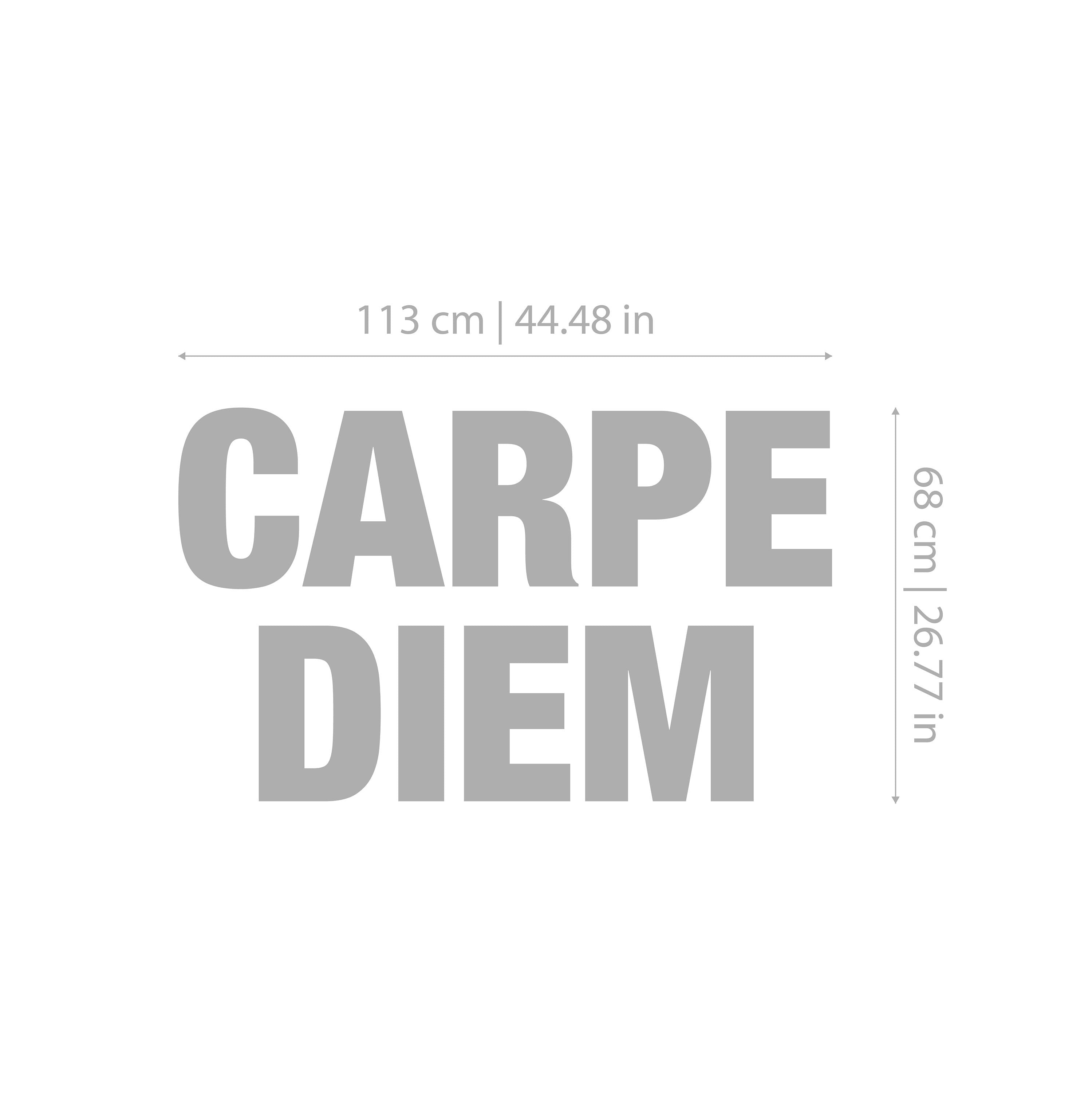 Carpe Diem Sign - Wall Art Piece - 3D letters - Wall Decor - Office Decor - SKU: CARP-2