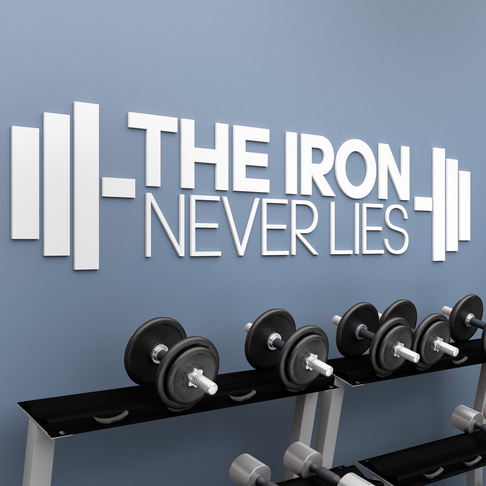 Gym Sign | The Iron Never Lies Home Gym Sign |  Gym Quote Sign | Home Gym Sign | Cross Fit Sign - SKU:IRON-0