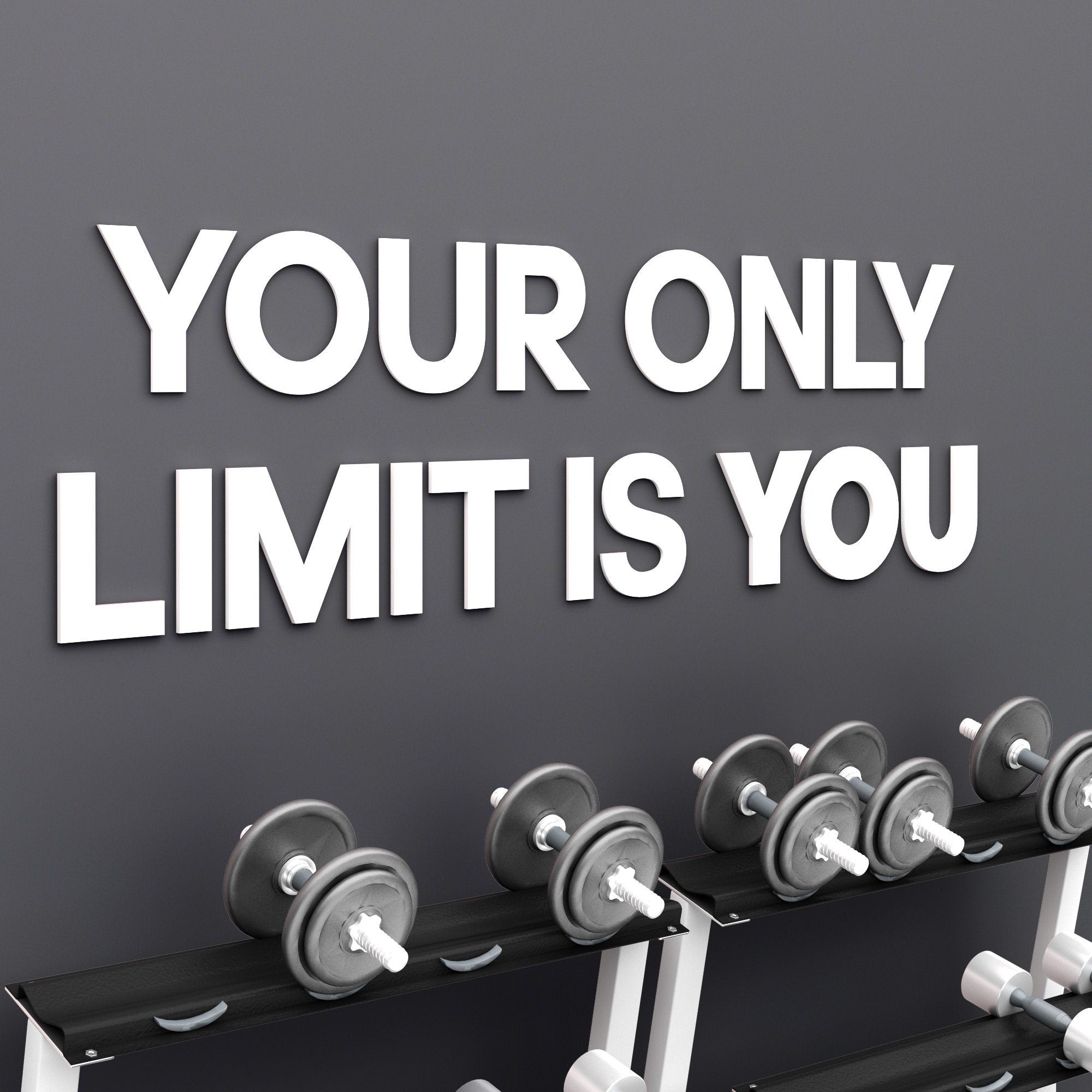 Your only limit is you, home gym wall sign, training wall decor, motivational quote, workout motivation, fitness weights - SKU:YLON-0