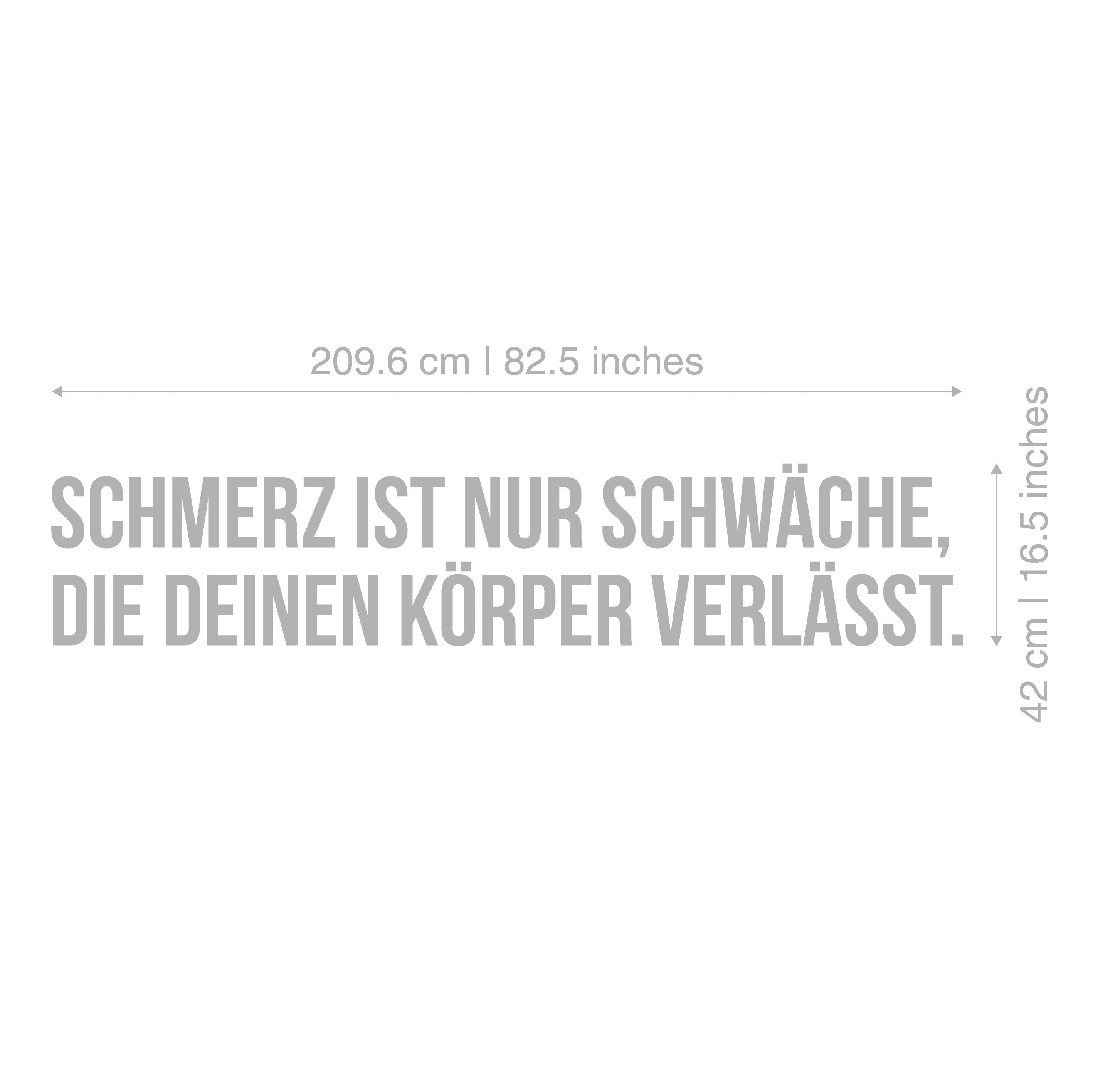 Schmerz ist nur schwäche, die deinen körper verlässt, 3D-BUCHSTABEN Homegym, Training, Fitness, Fitnessstudio, SKU:DDKV-2