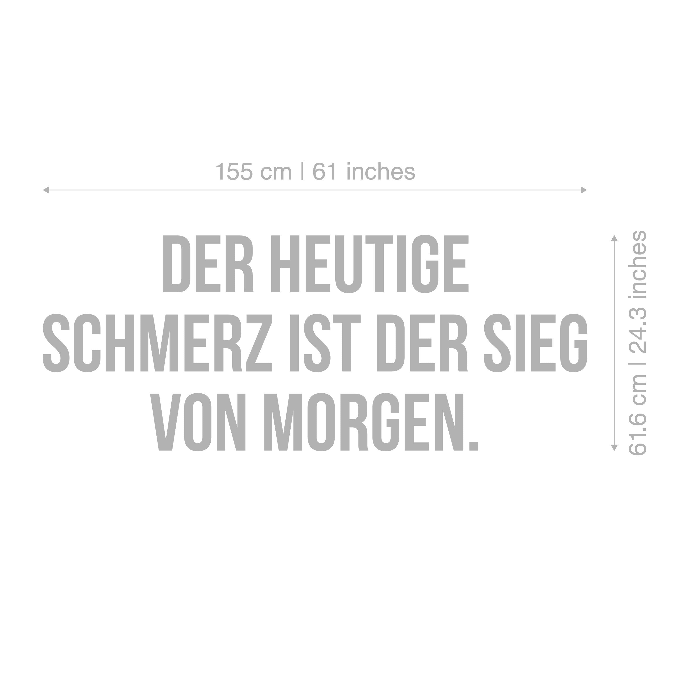 Der heutige schmerz ist der sieg von morgen, 3D-BUCHSTABEN Homegym, Training, Fitness, Fitnessstudio, SKU:DHSI-3