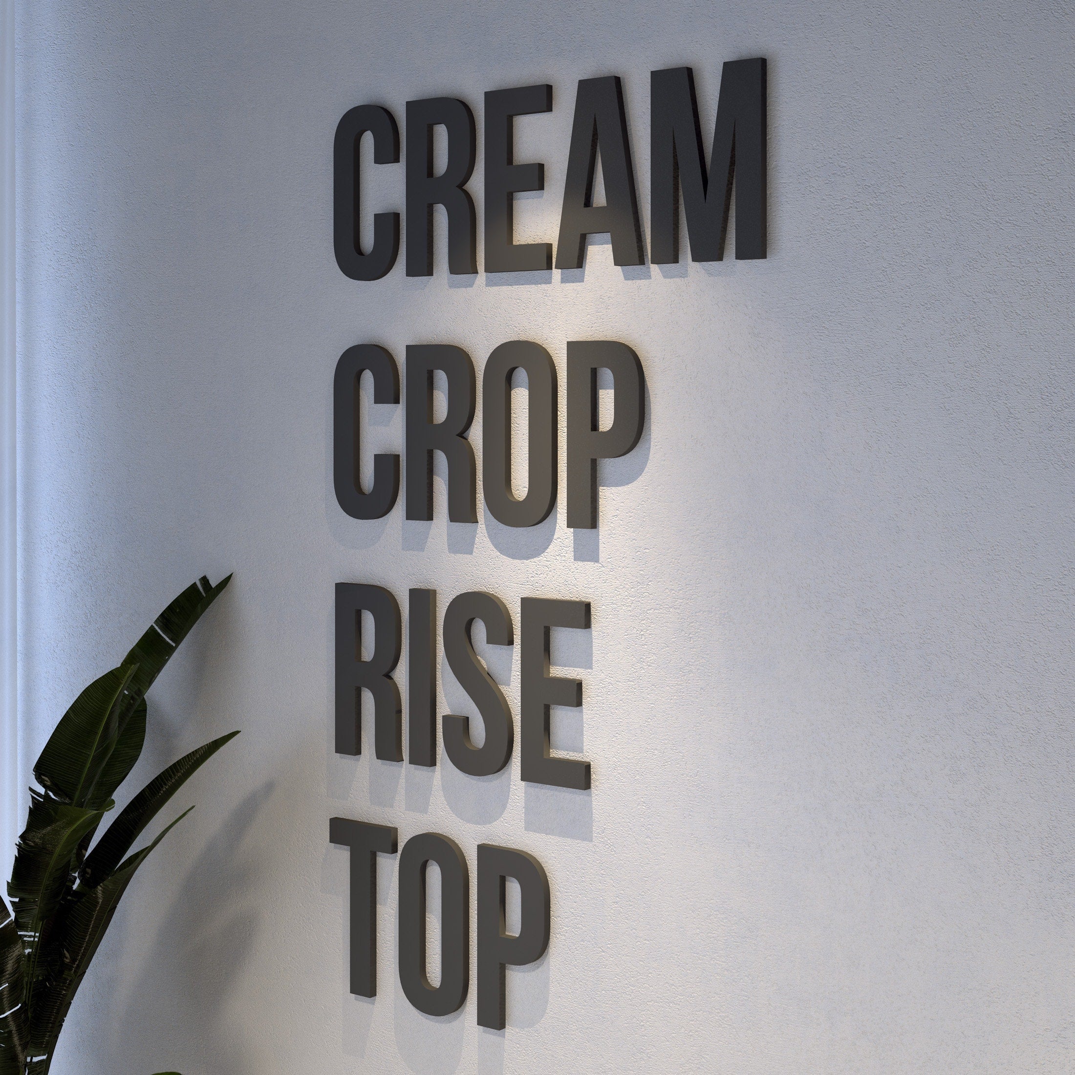 Cream Crop Rise Top, 3D Quote Letters, Inspirational Quotes, Quote Wall Sign, SKU:CCRT-1