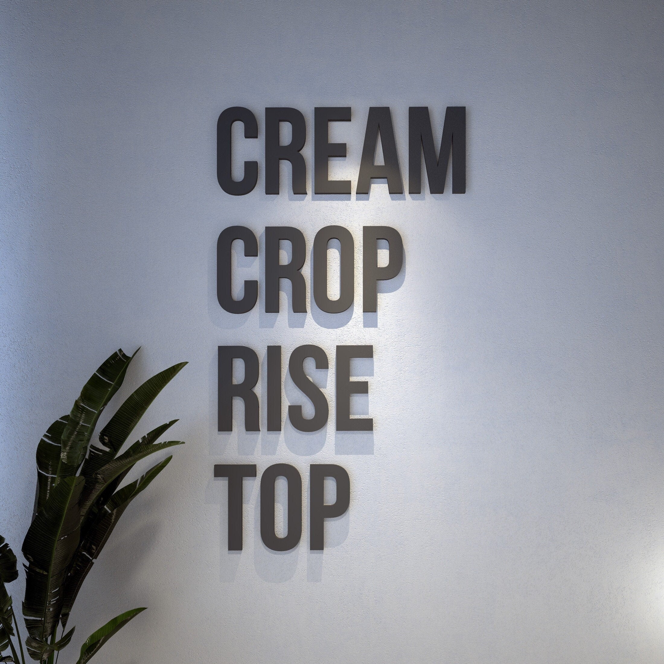 Cream Crop Rise Top, 3D Quote Letters, Inspirational Quotes, Quote Wall Sign, SKU:CCRT-0