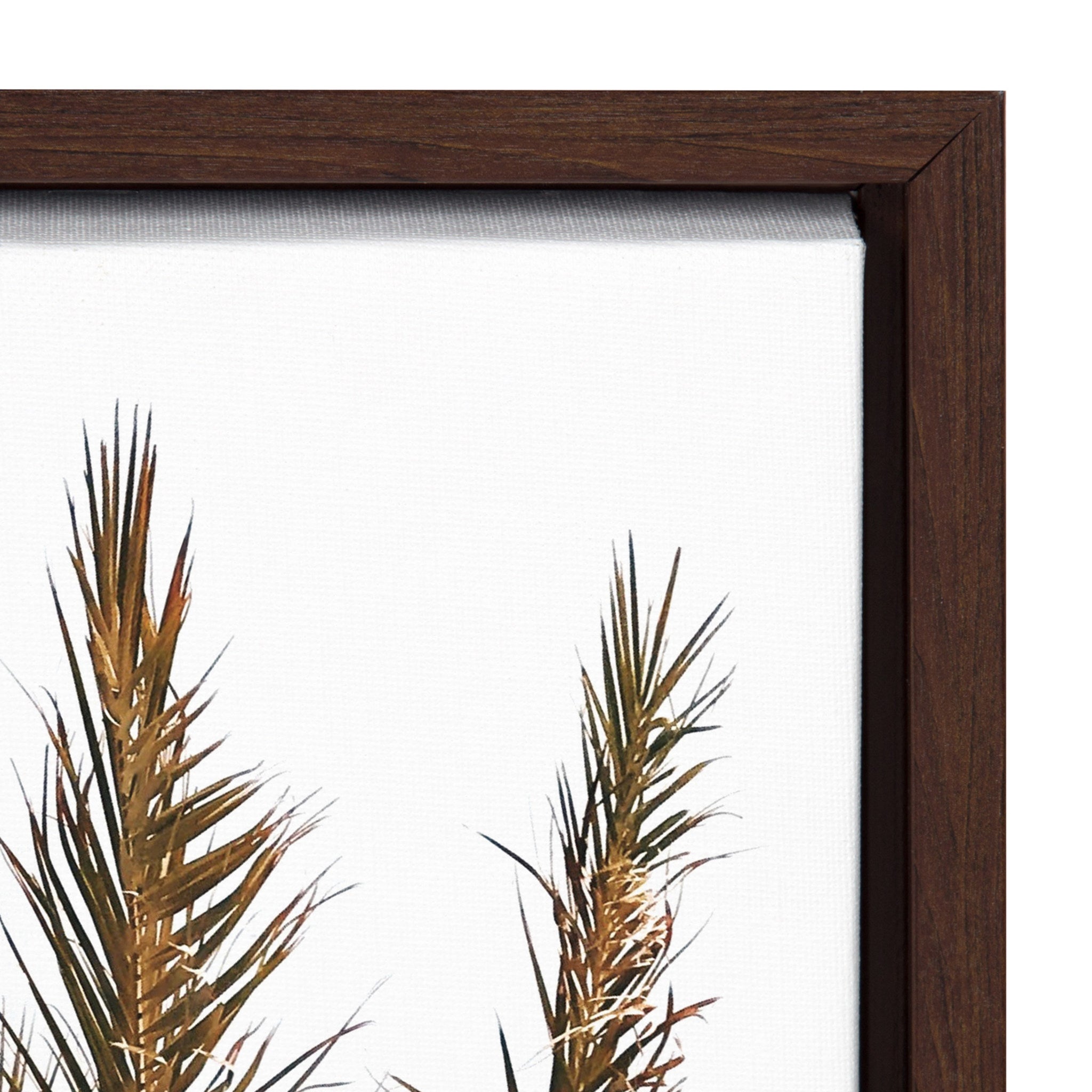 Sylvie Surfboard Paradise Framed Canvas Set by The Creative Bunch Studio