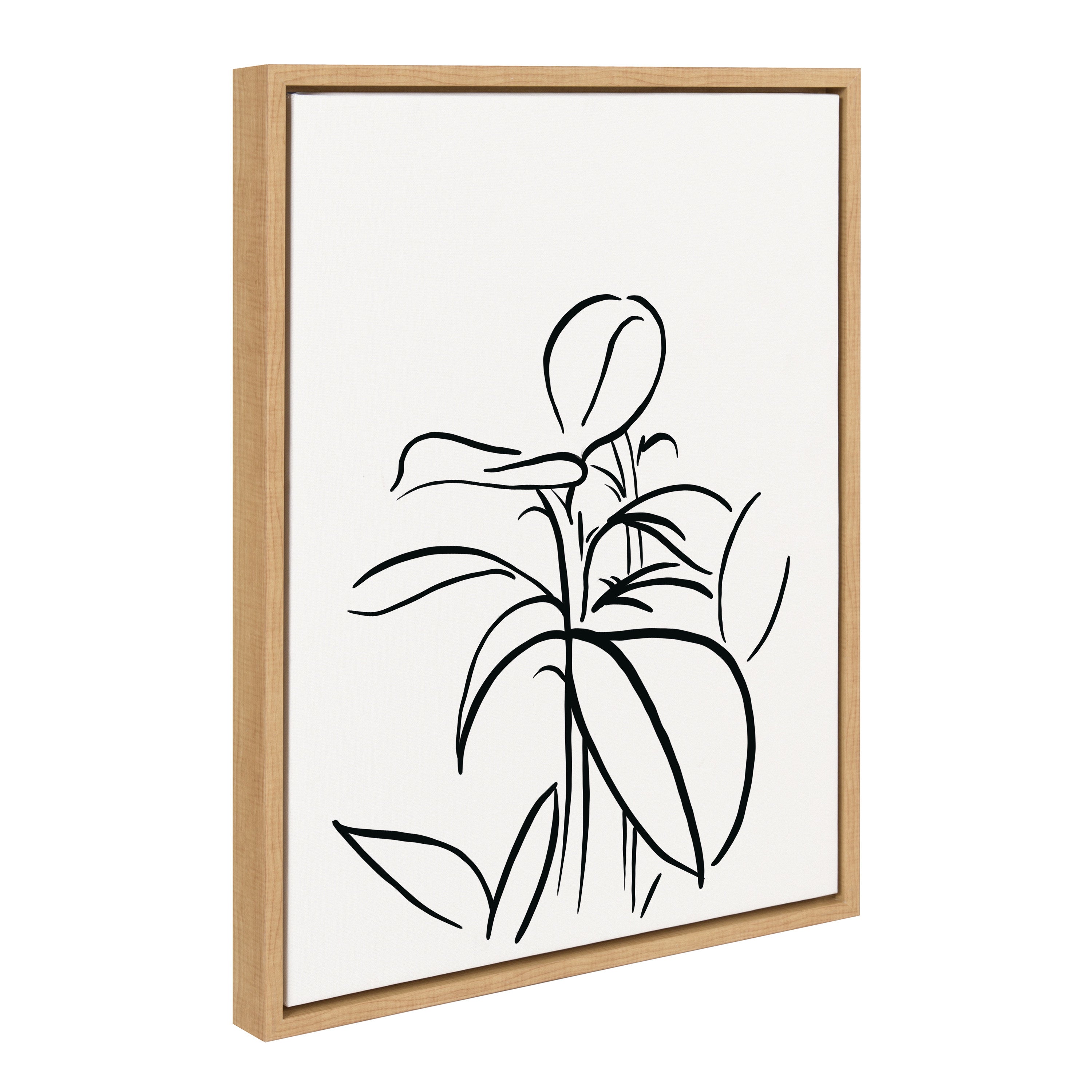 Sylvie Botanical Sketch Print No 1 Framed Canvas by The Creative Bunch Studio
