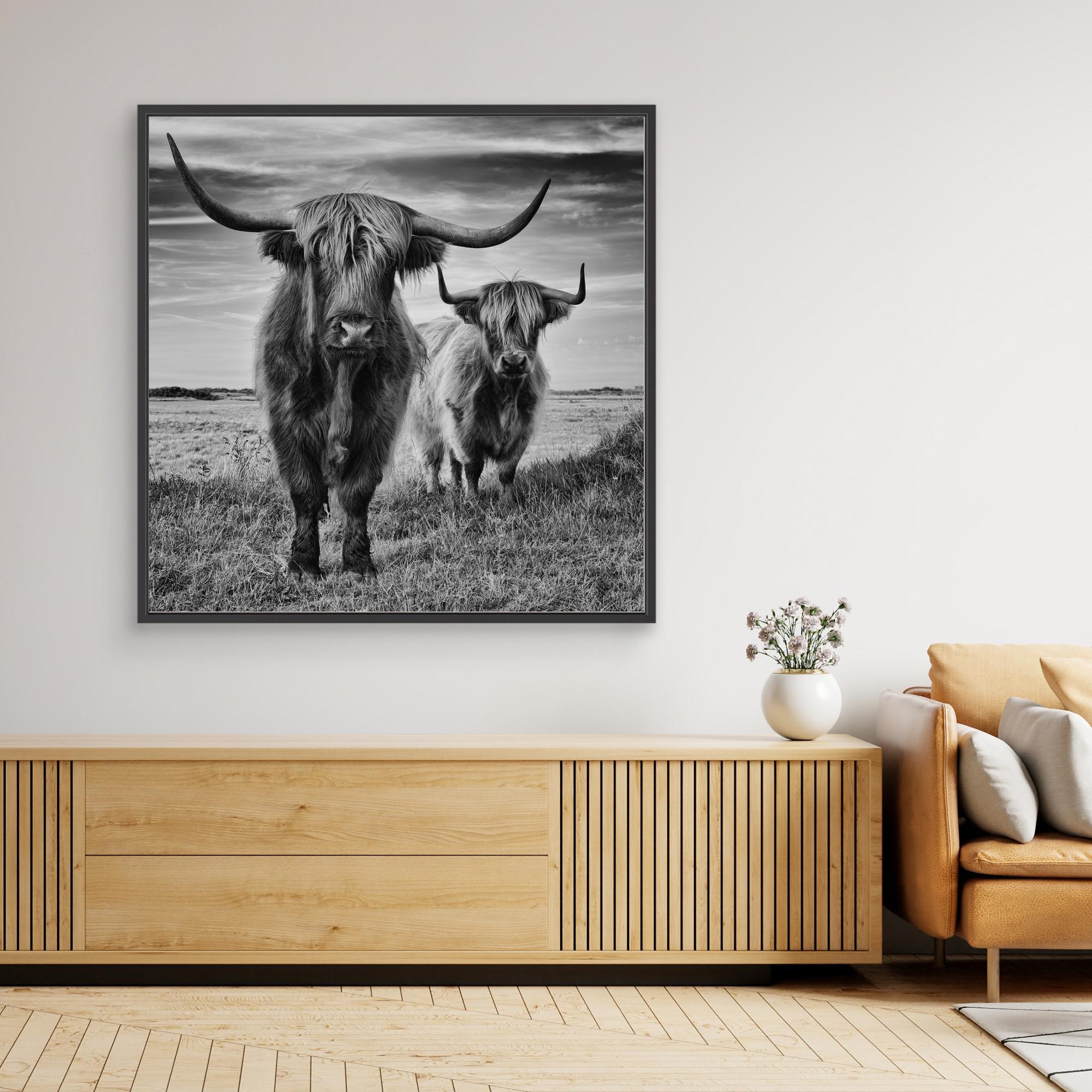 Highlands by Stéphane Pecqueux - PRHOMZ