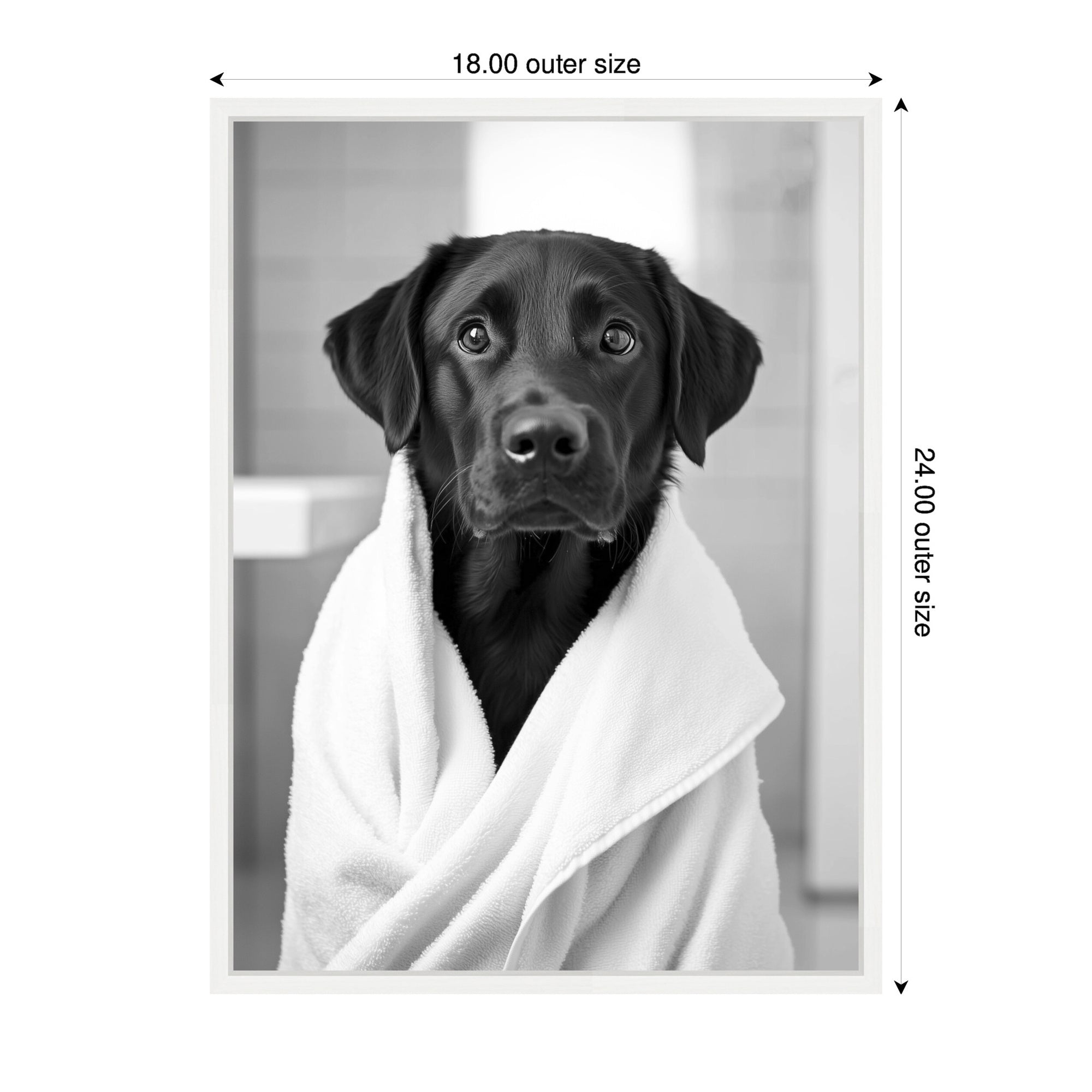 Sylvie Black Lab Bathroom Art Towel Robe Black and White Framed Canvas by The Creative Bunch Studio