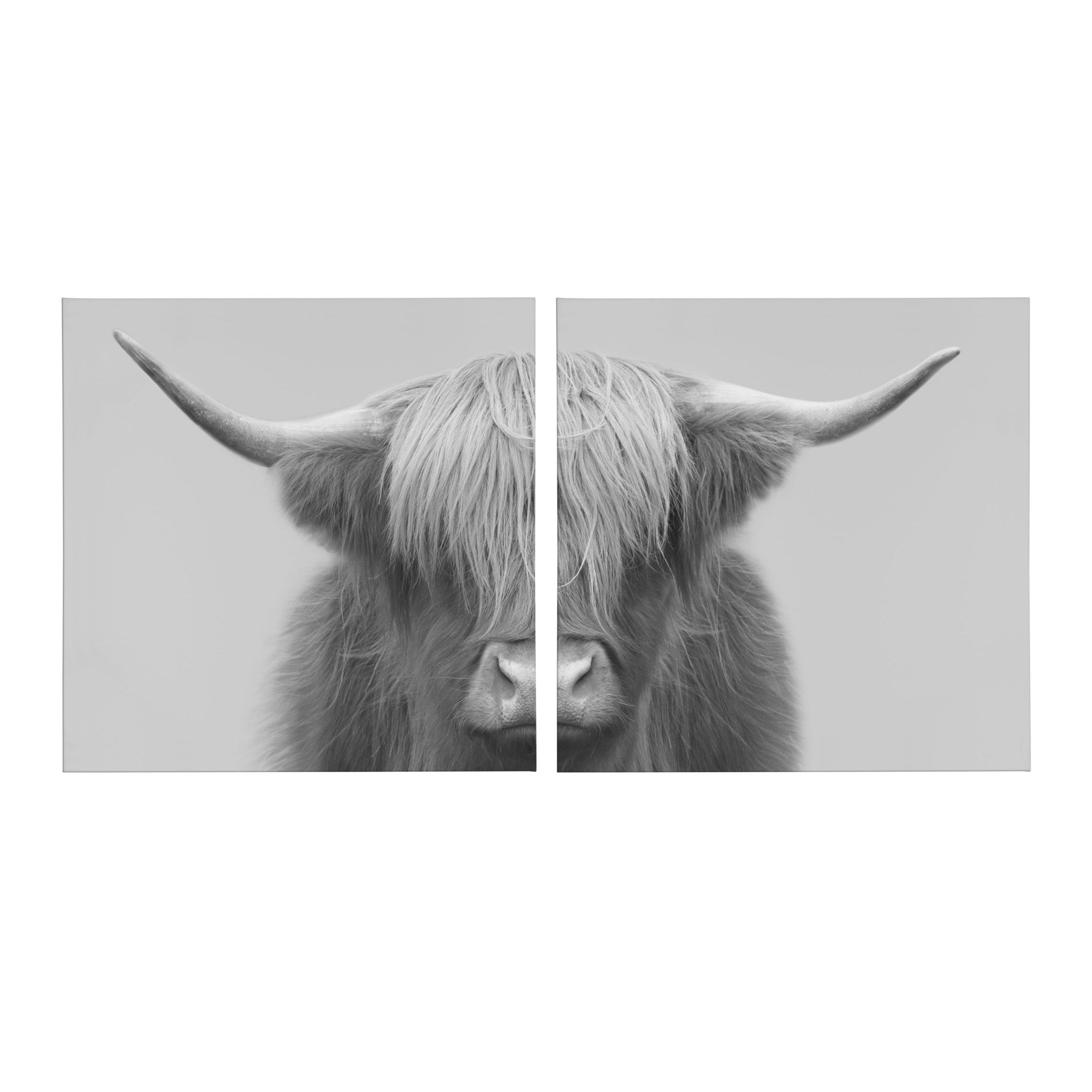 Hey Dude Highland Cow Gray Canvas by The Creative Bunch Studio