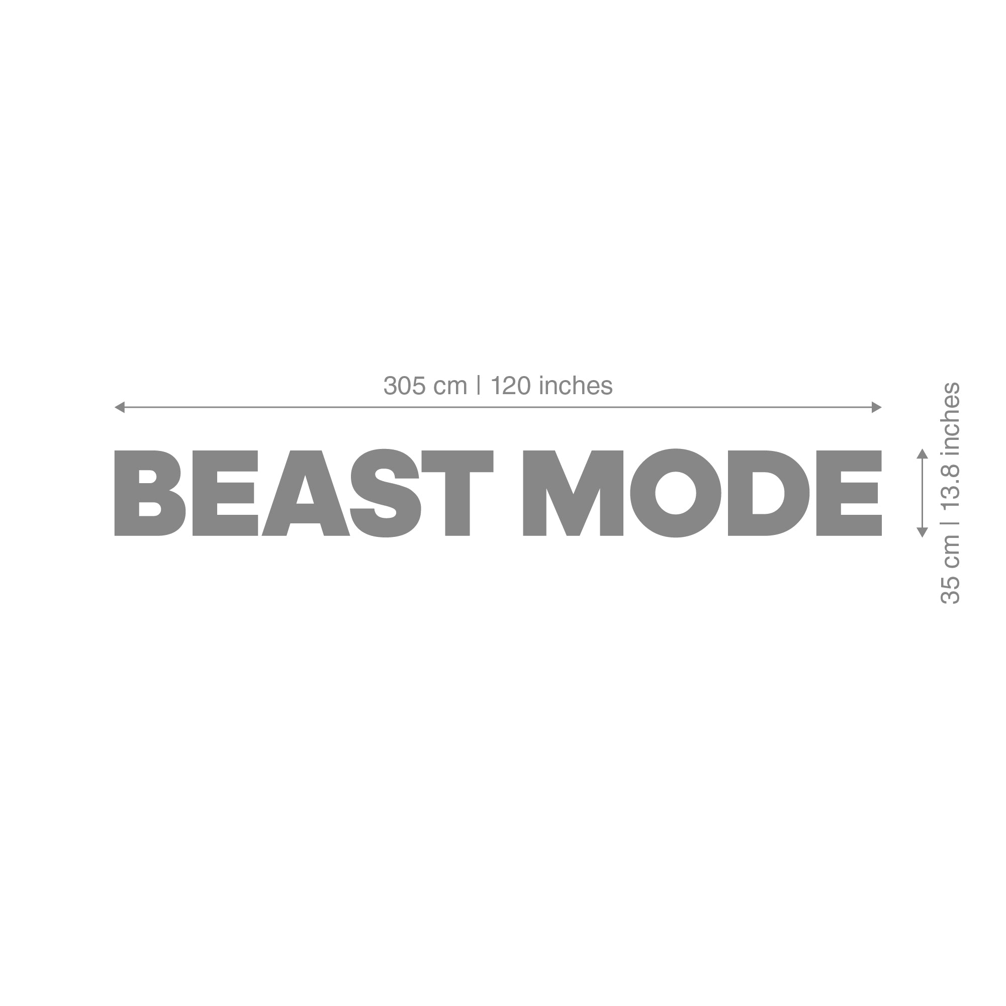 Beast Mode Interior Gym Decoration-2