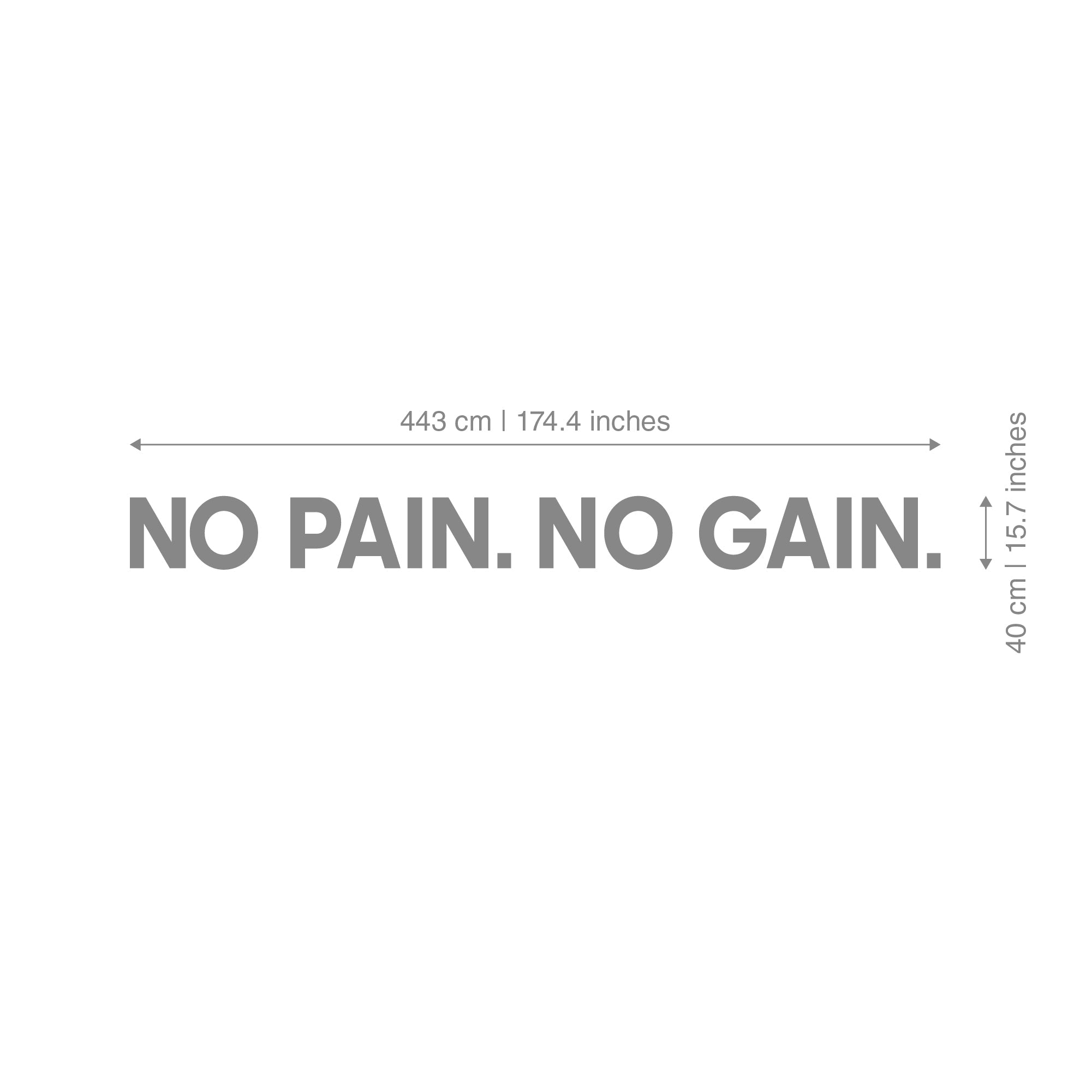 No Pain No Gain 3D Gym Wall Decor-2