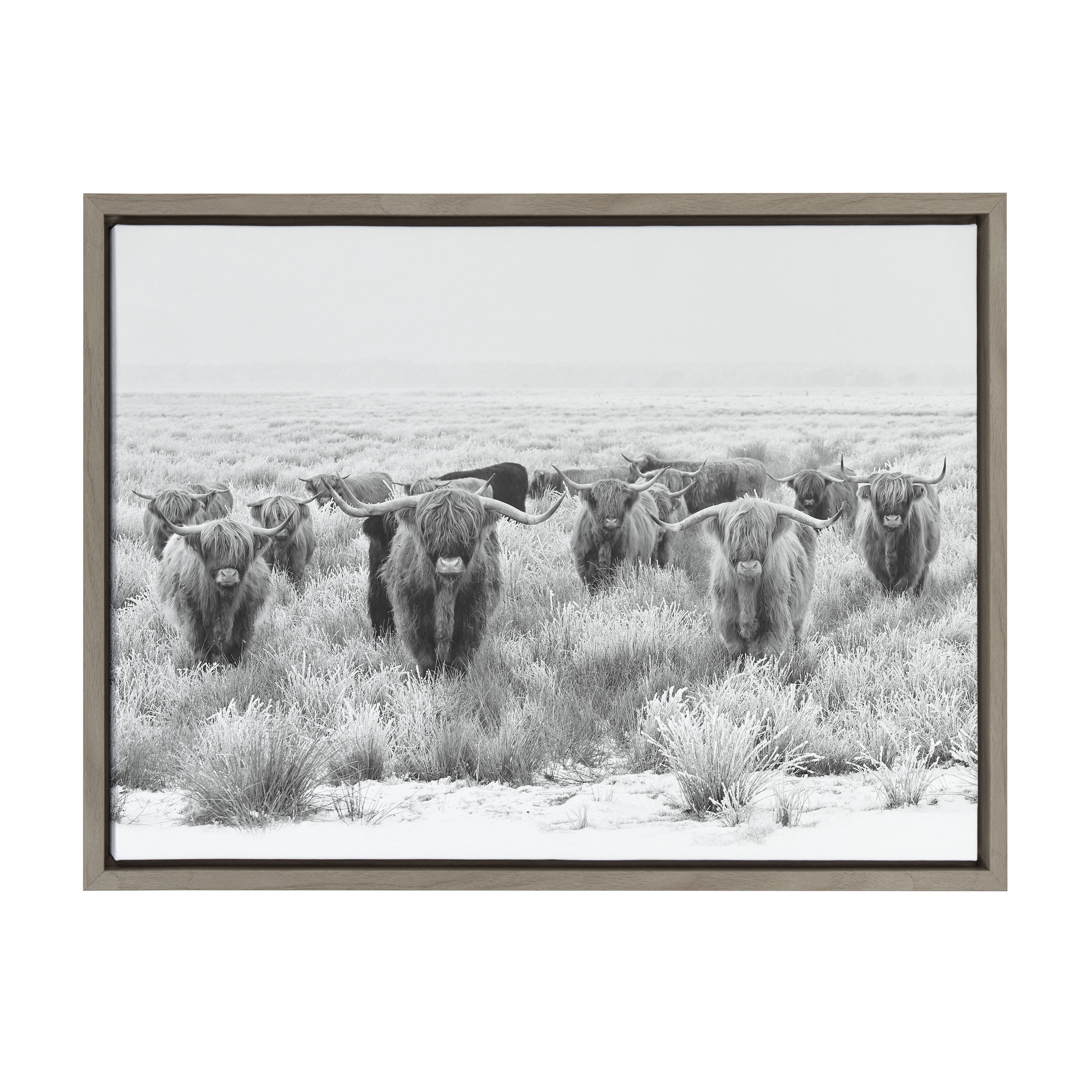 Sylvie Herd of Highland Cows Black and White Framed Canvas by The Creative Bunch Studio