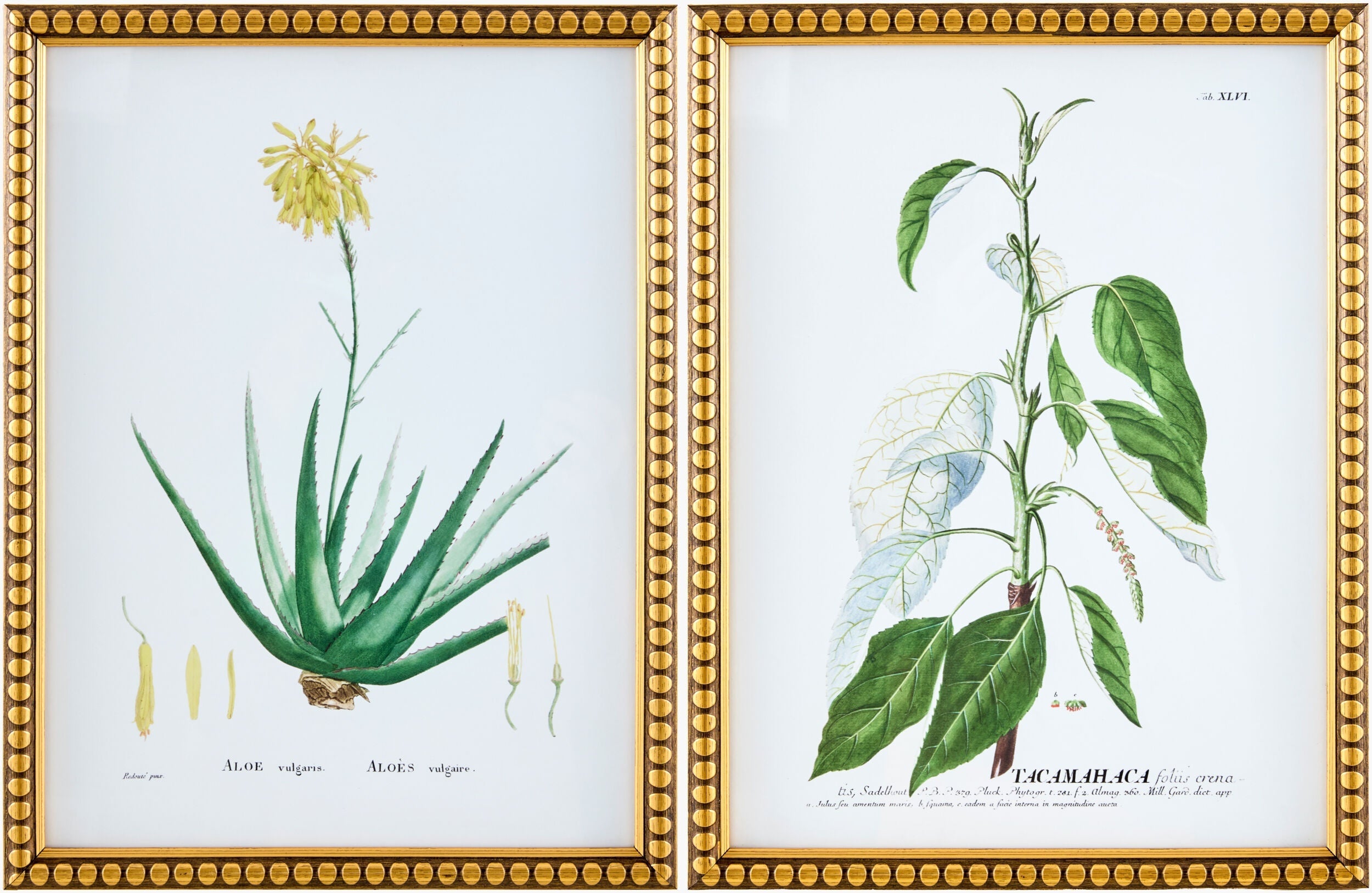 Rich Lime Green Rustic Framed Wall Art for modern gallery walls-0