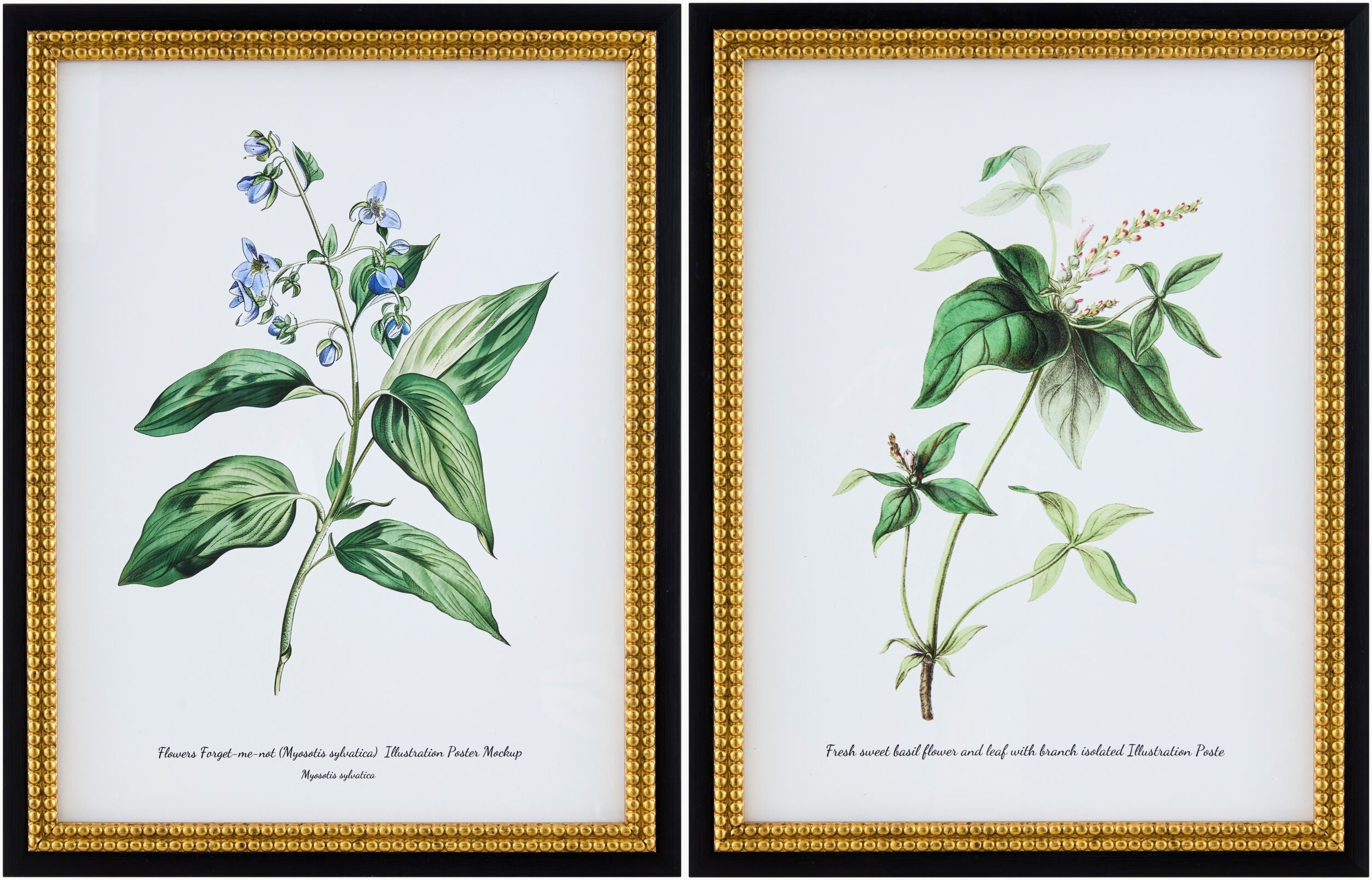 Soft Lime Green Rustic Framed Wall Art for modern gallery walls-0